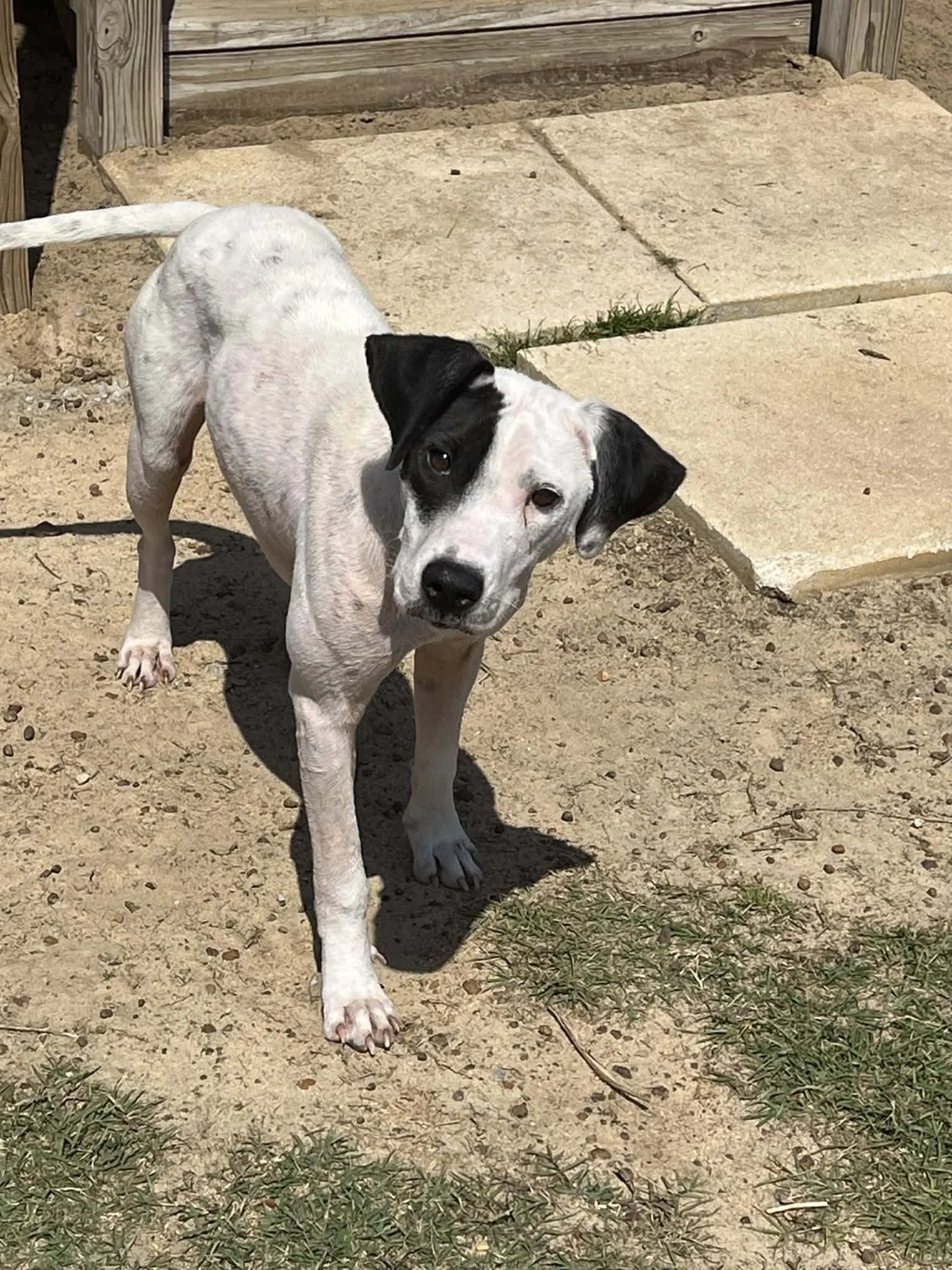 be450b67-9968-4b66-8efd-0b3ad5b9aa47.jfif