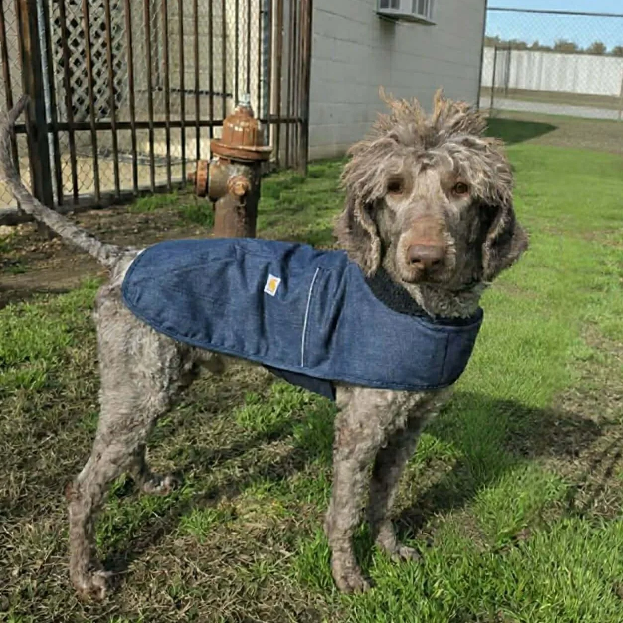 cfca5a06-04c9-42db-a786-368f88278084 (1).jpeg