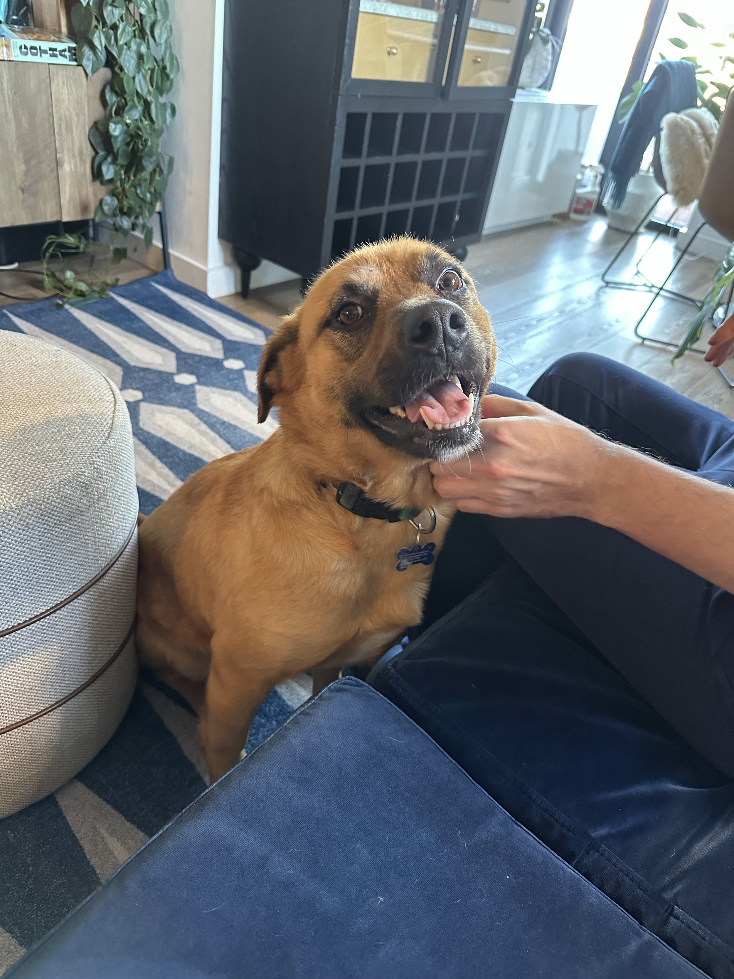 Rob Rausch- NYC Foster 18.jpeg