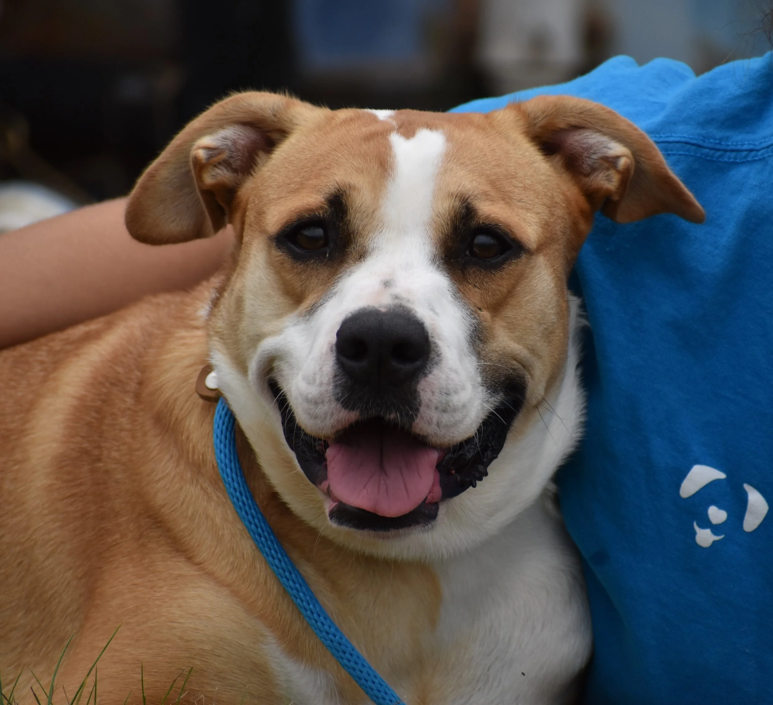 Jonquel Jones - Shelter 8.JPG