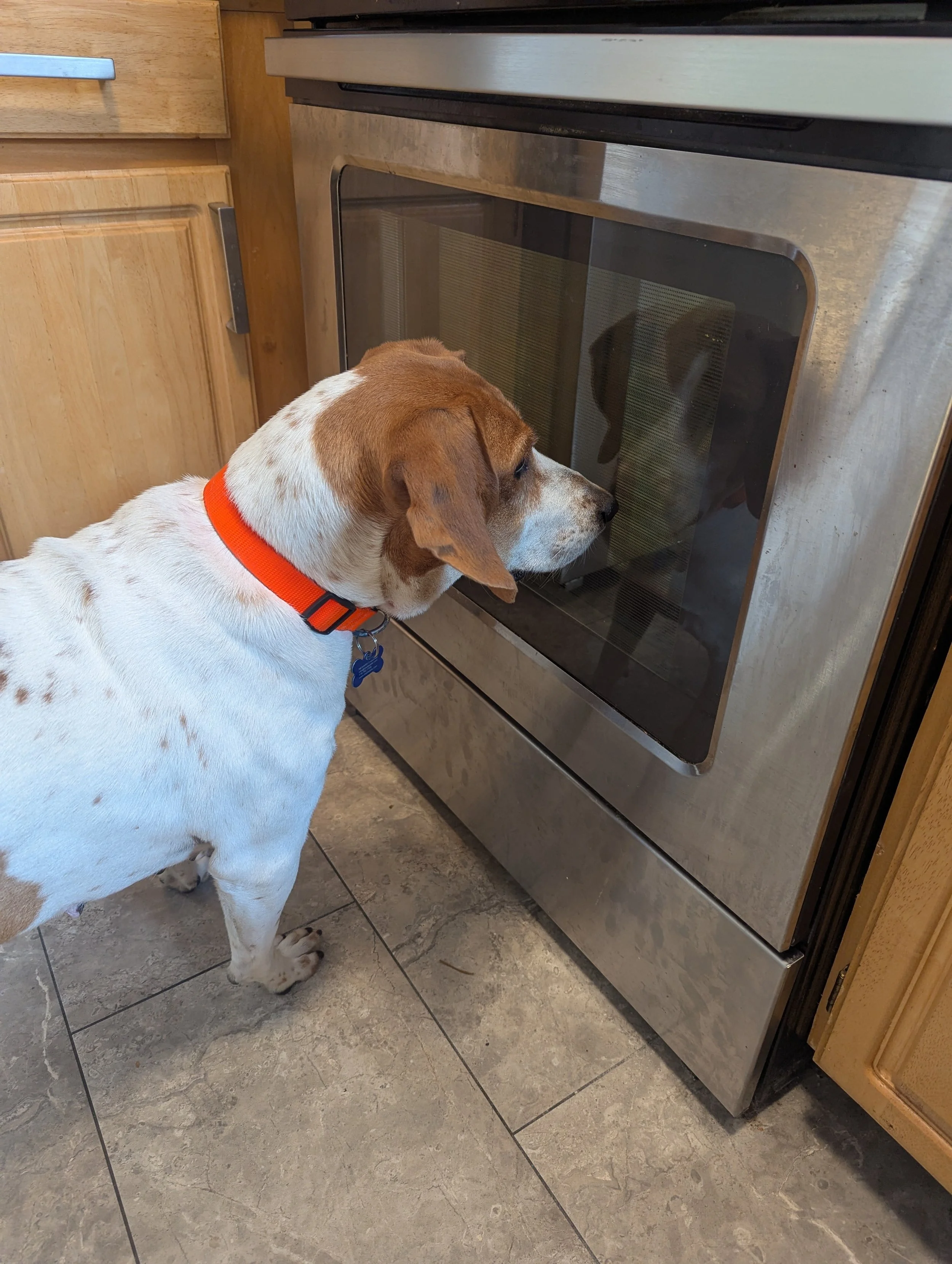 Julia Fox - NYC Foster 6.jpg