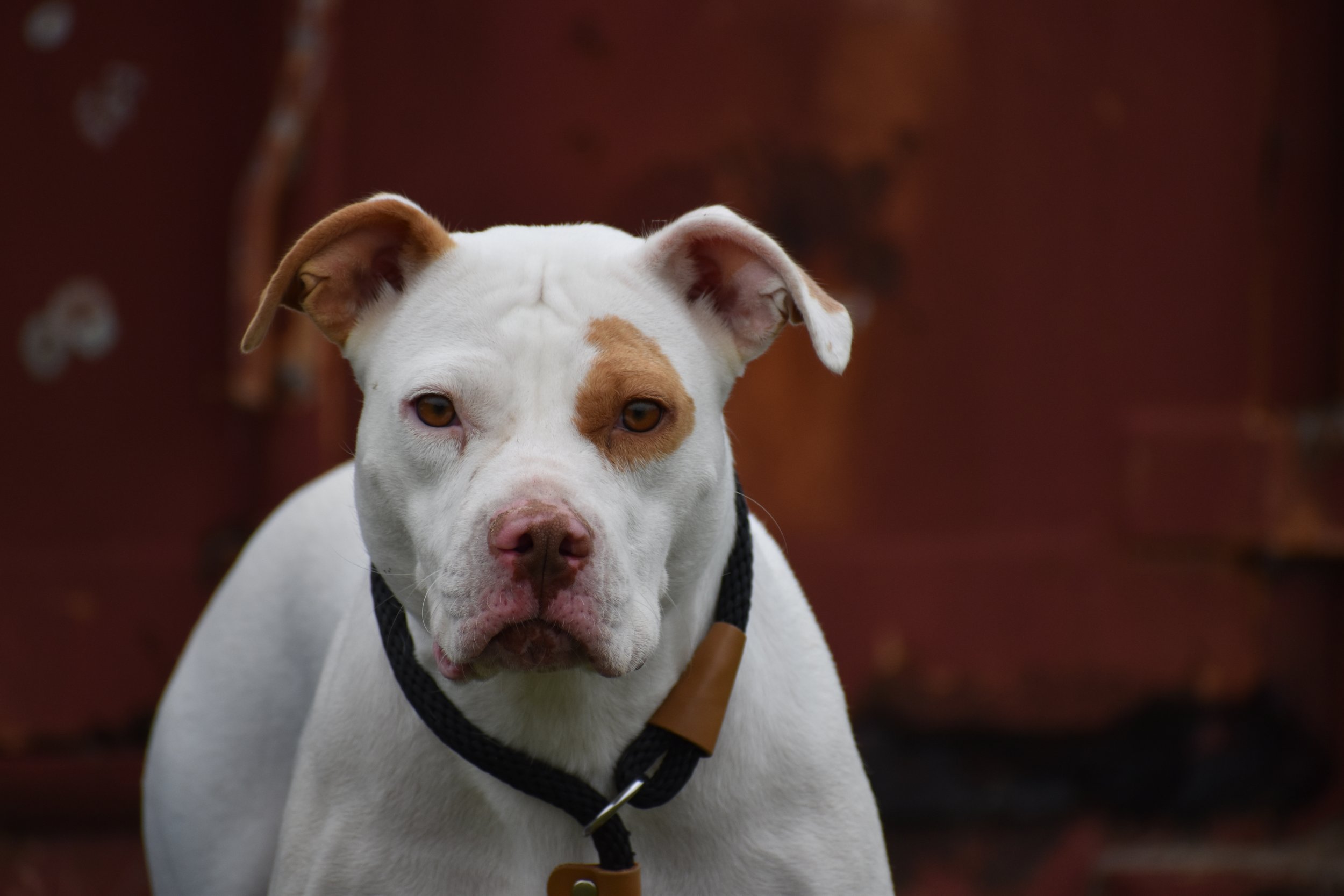 Kyra Milligan - Shelter 9.JPG