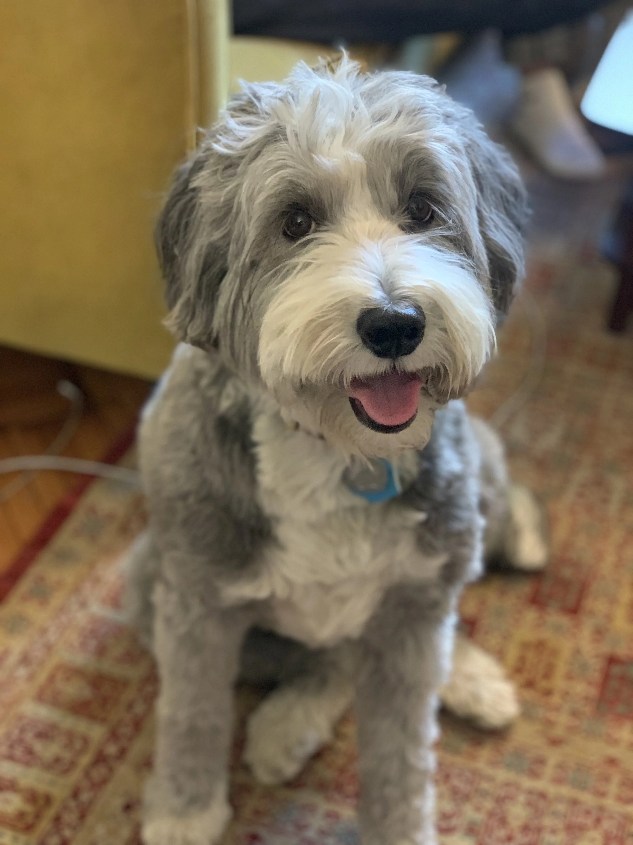 Ralphie