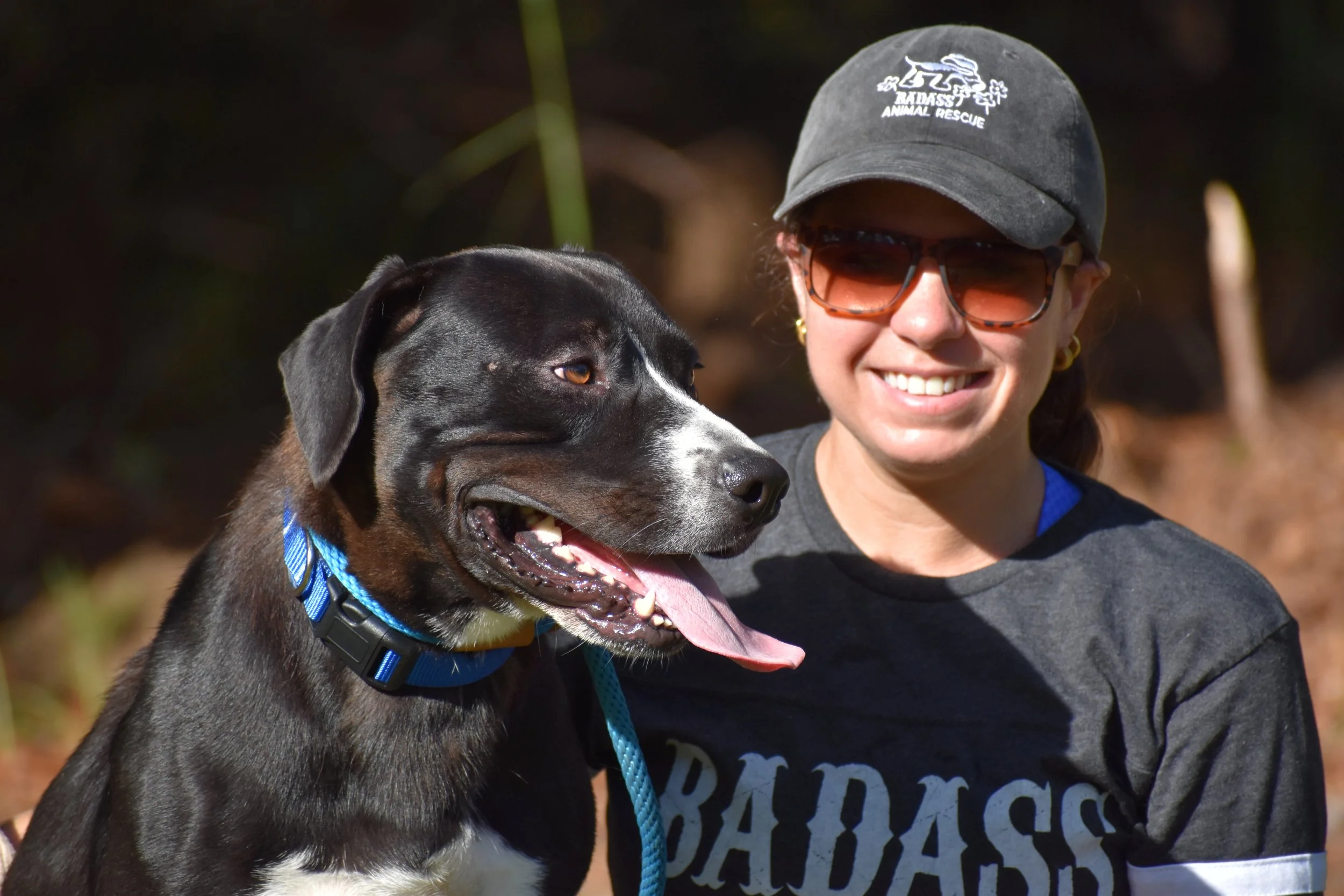 Khalil Shakir - Shelter 7.JPG