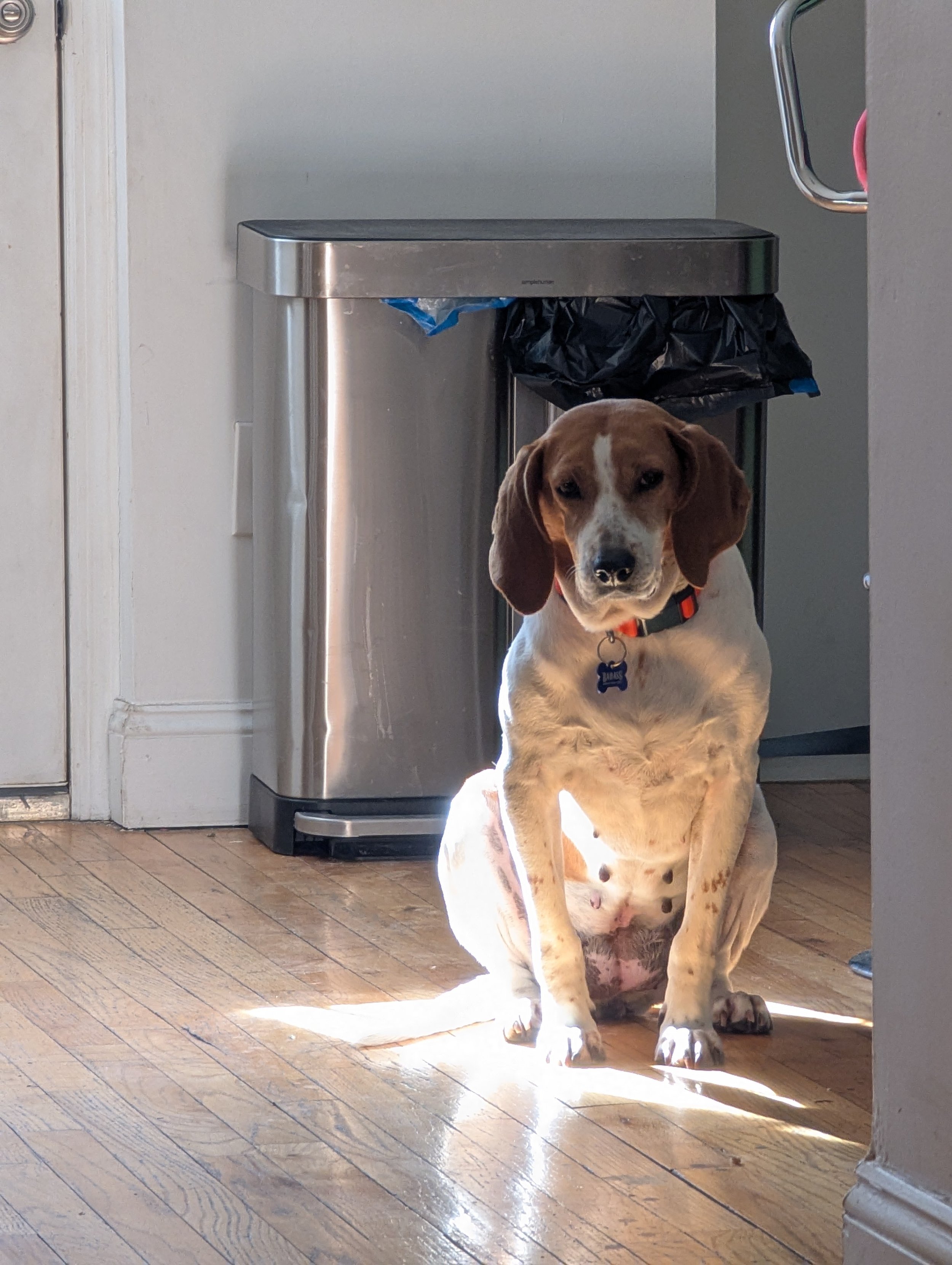 Julia Fox - NYC Foster 12.jpg