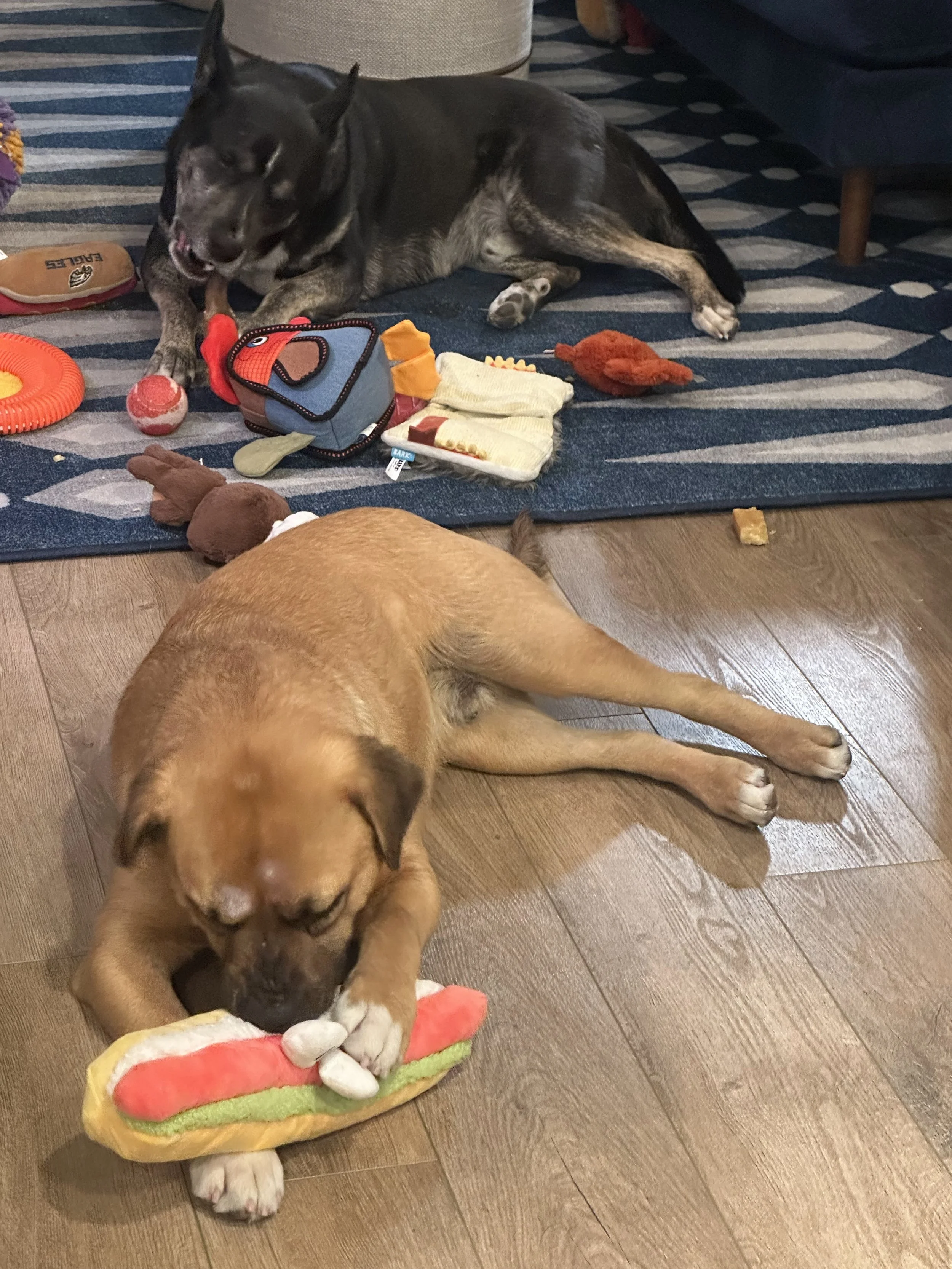 Rob Rausch- NYC Foster 16.jpeg