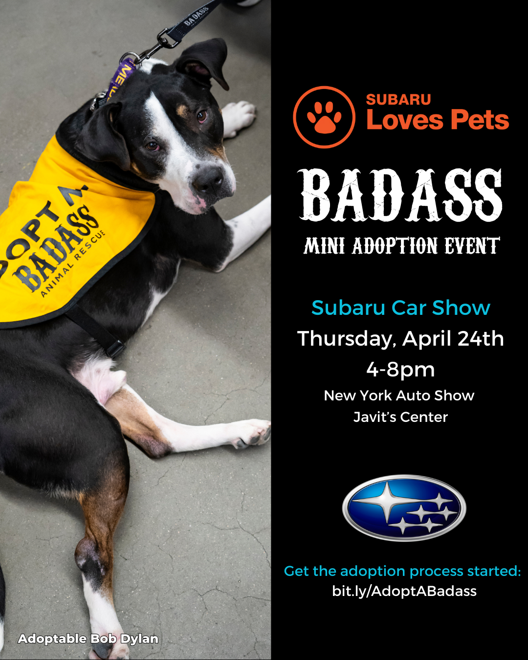 Mini Adoption Event @ Subaru Car Show (Javit's Center) — Badass Animal ...