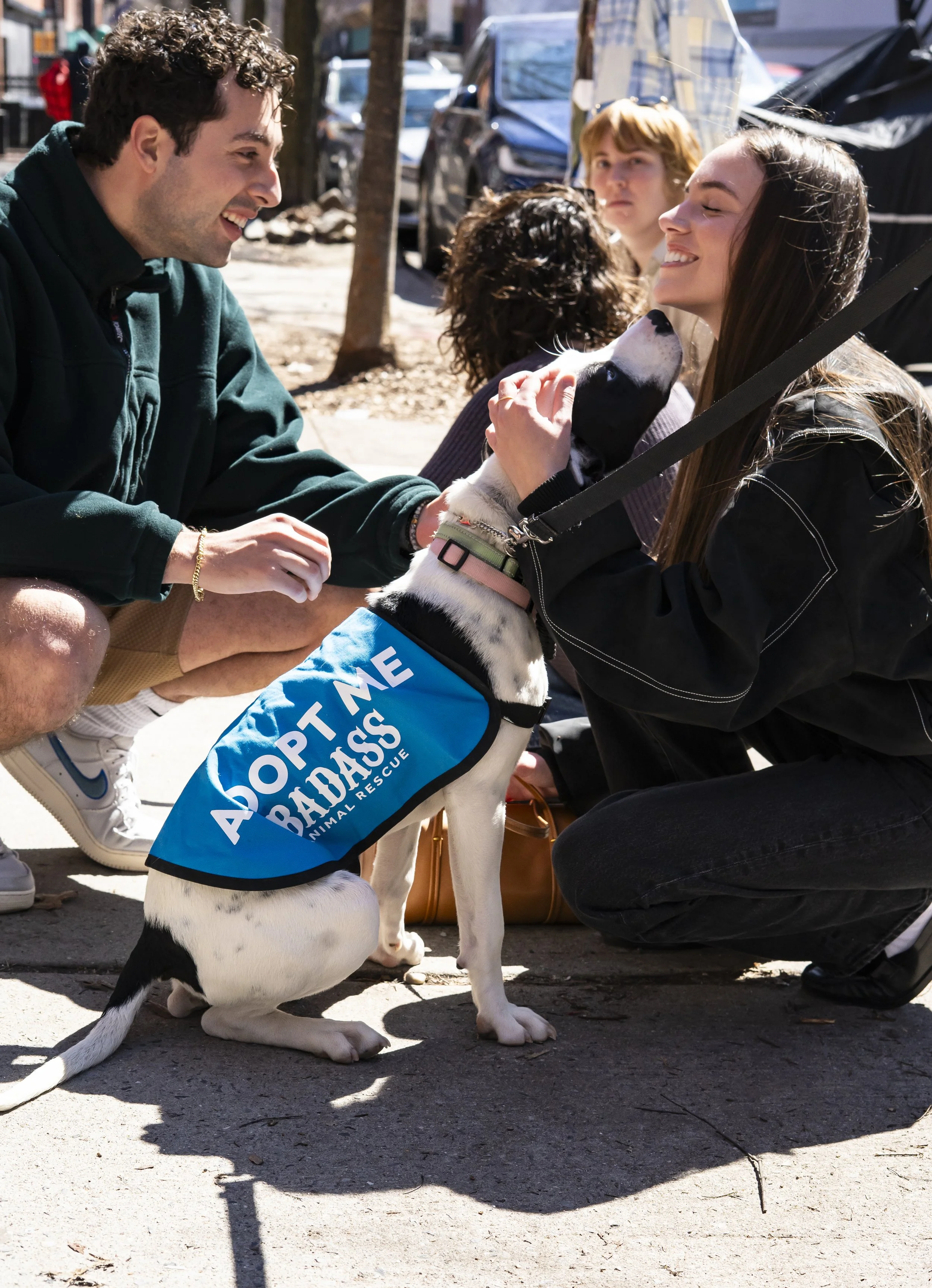 Mira - Adoption Event - Carly Boyle - 1.jpg