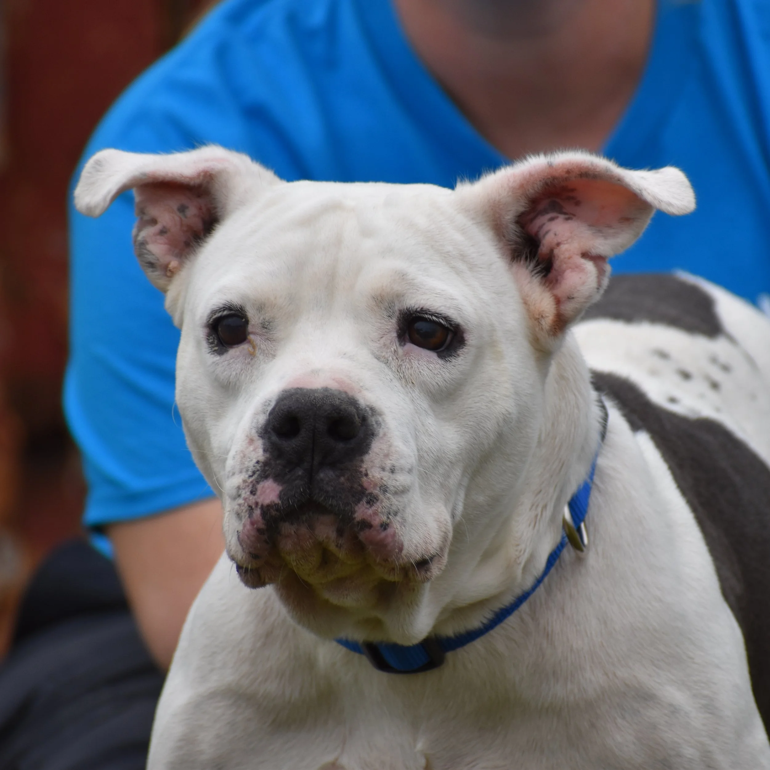 Boom - Shelter 21 (2).JPG