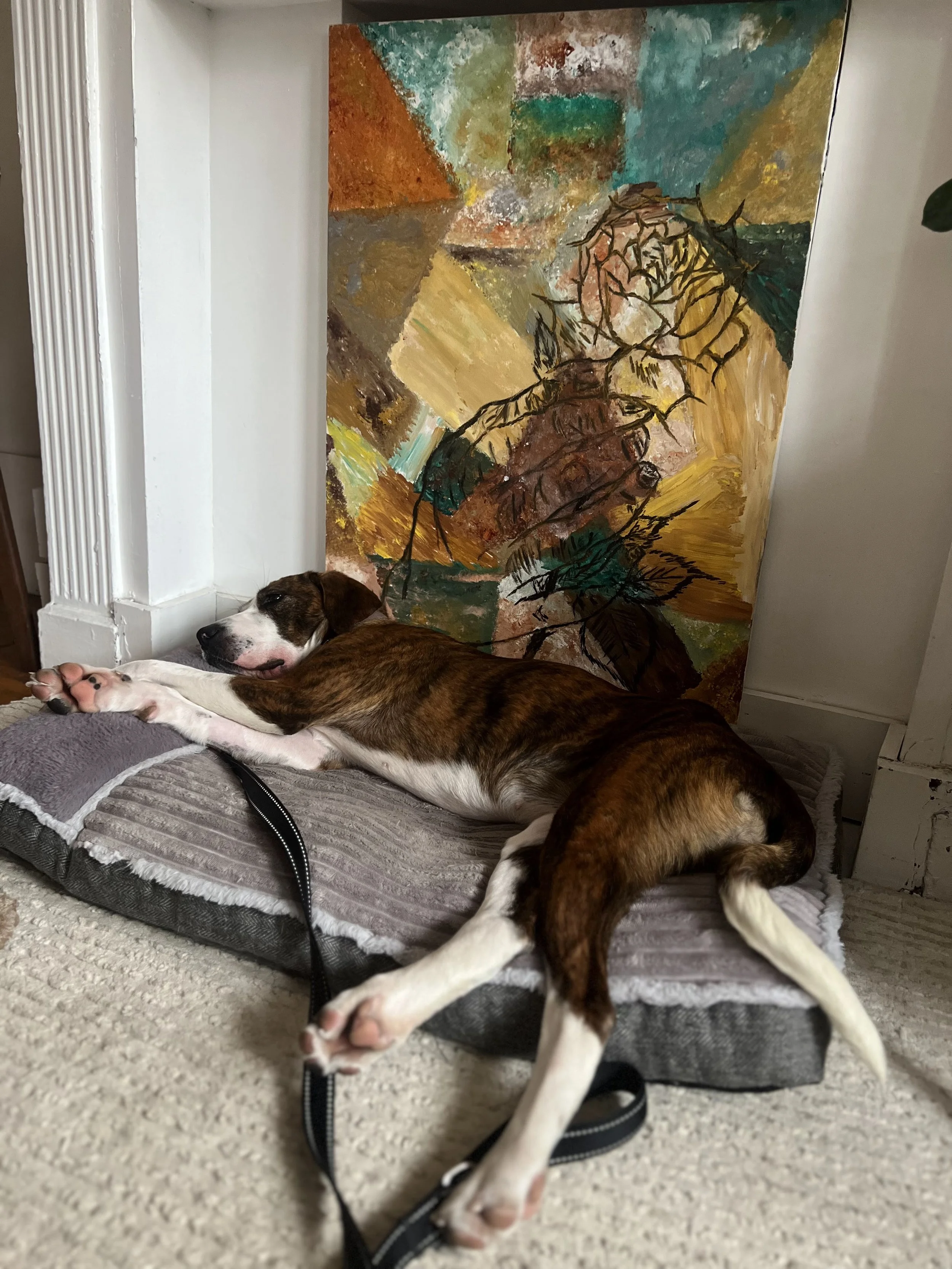 Natalie Anderson - NYC Foster 10.jpeg