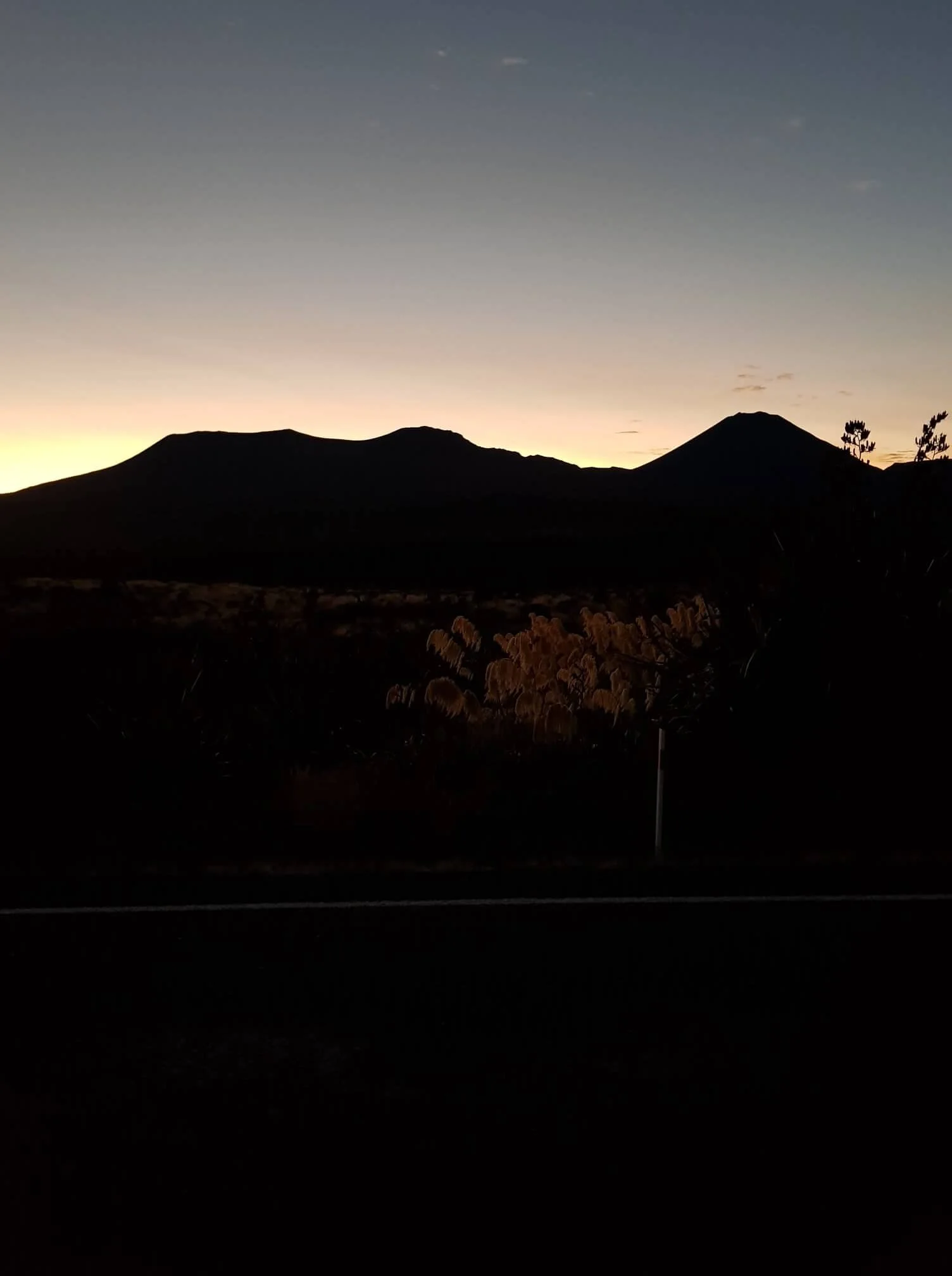 71956038_759566231157154_5216616824740773888_n (1).jpg