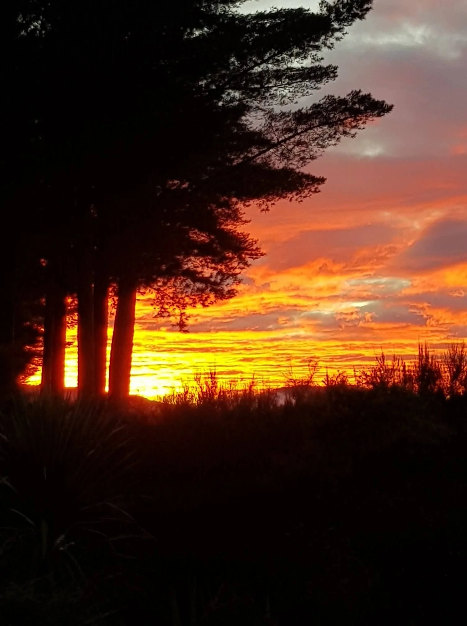 Tongariro Alpine Crossing Overnight Stays