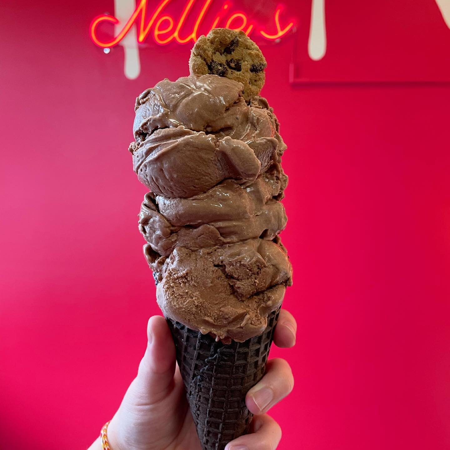 Yes! We have vegan options too! Come in and try our dark chocolate #vegan ice cream made with coconut cream on an all #vegan coco waffle cone! #nelliesicecream