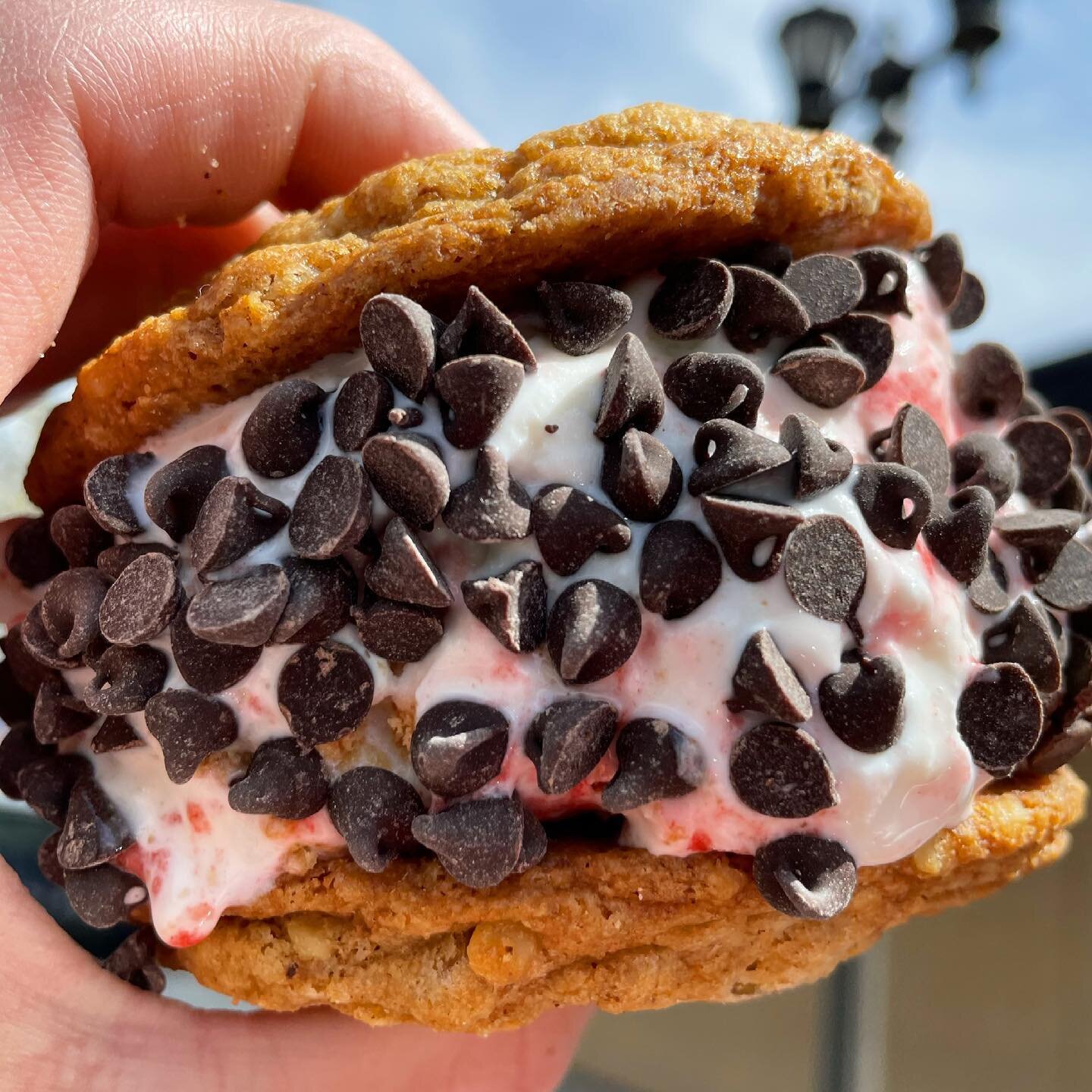 Walnut oatmeal golden raisin cookies with strawberry cheesecake ice cream, mini chocolate chip roll-in, and of course you gotta hot press it! 🍪🍓🍫🍪 #nelliesicecream #icecreamcookiesandwich