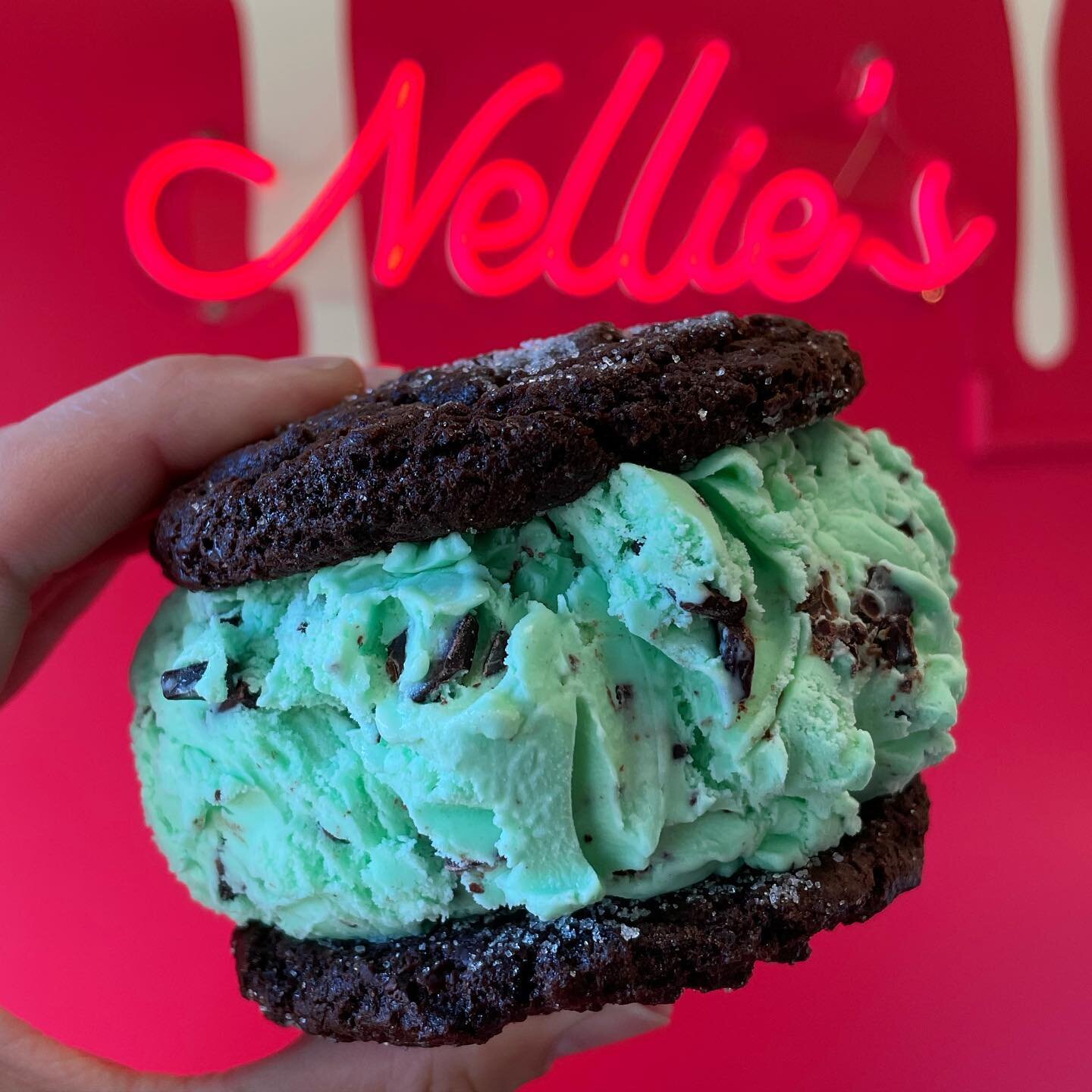 Beat the heat 🥵 with a @nelliesicecream scoop! 🍦#icecreamcookiesandwich #nelliesicecream