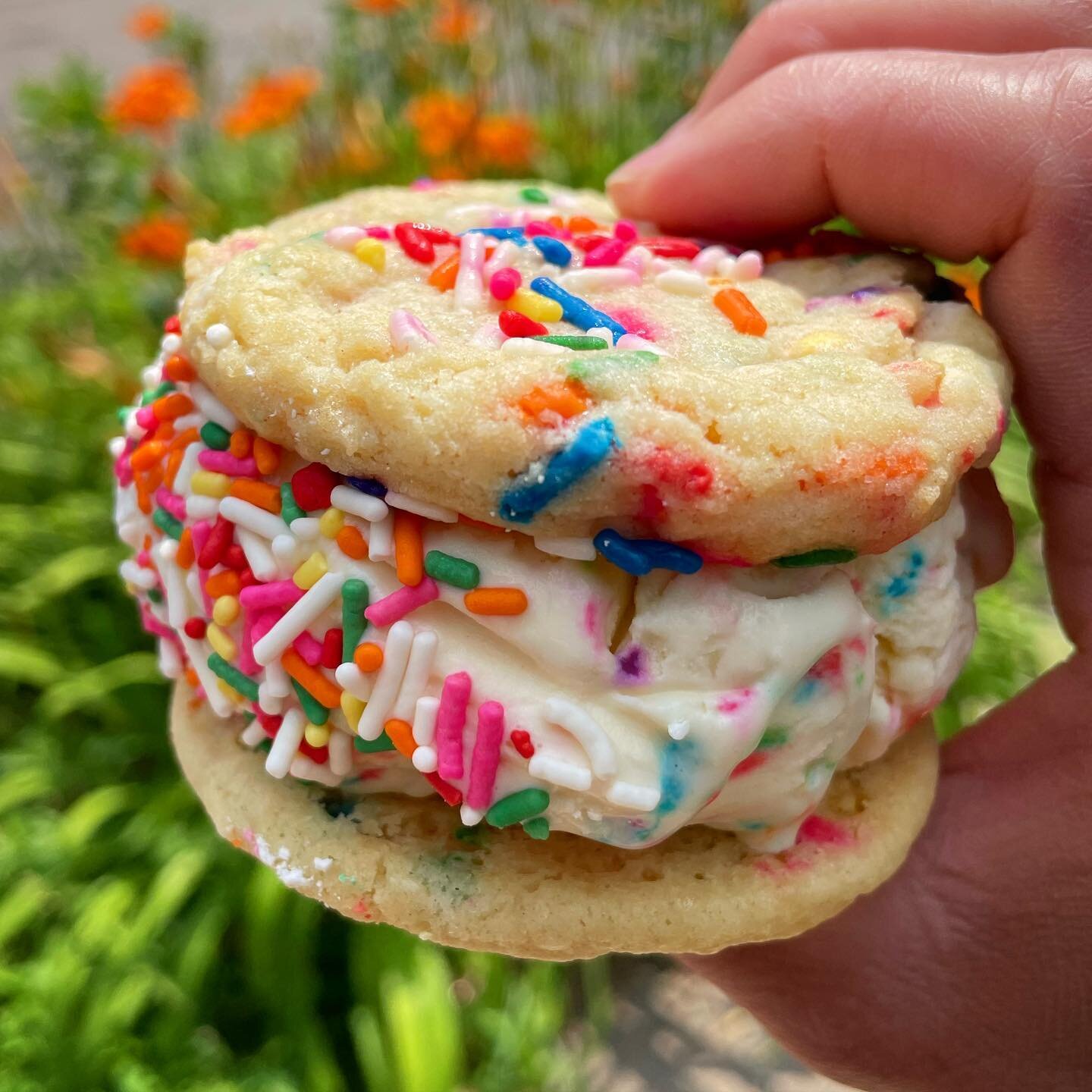 The more sprinkles the better on National Ice Cream Day! (funfetti sugar cookies with funfetti cake batter ice cream rolled in sprinkles.) #nationalicecreamday #nelliesicecream #nelsonsicecream