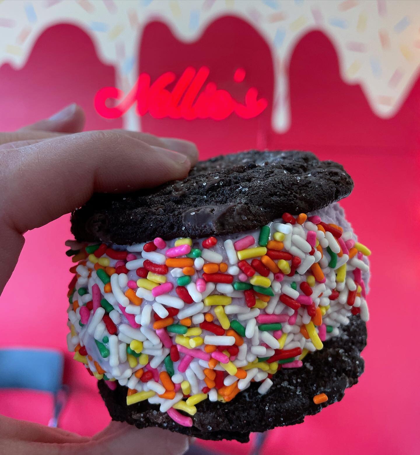 NOW OPEN FOR THE SEASON! Sun is out ☀️ and spring is in the air; come get your scoop! 📷 chocolate chocolate chip cookies with blackberry lavender Icecream (NEW) rolled in rainbow sprinkles and hot pressed. #nelliesicecream #icecreamcookiesandwich