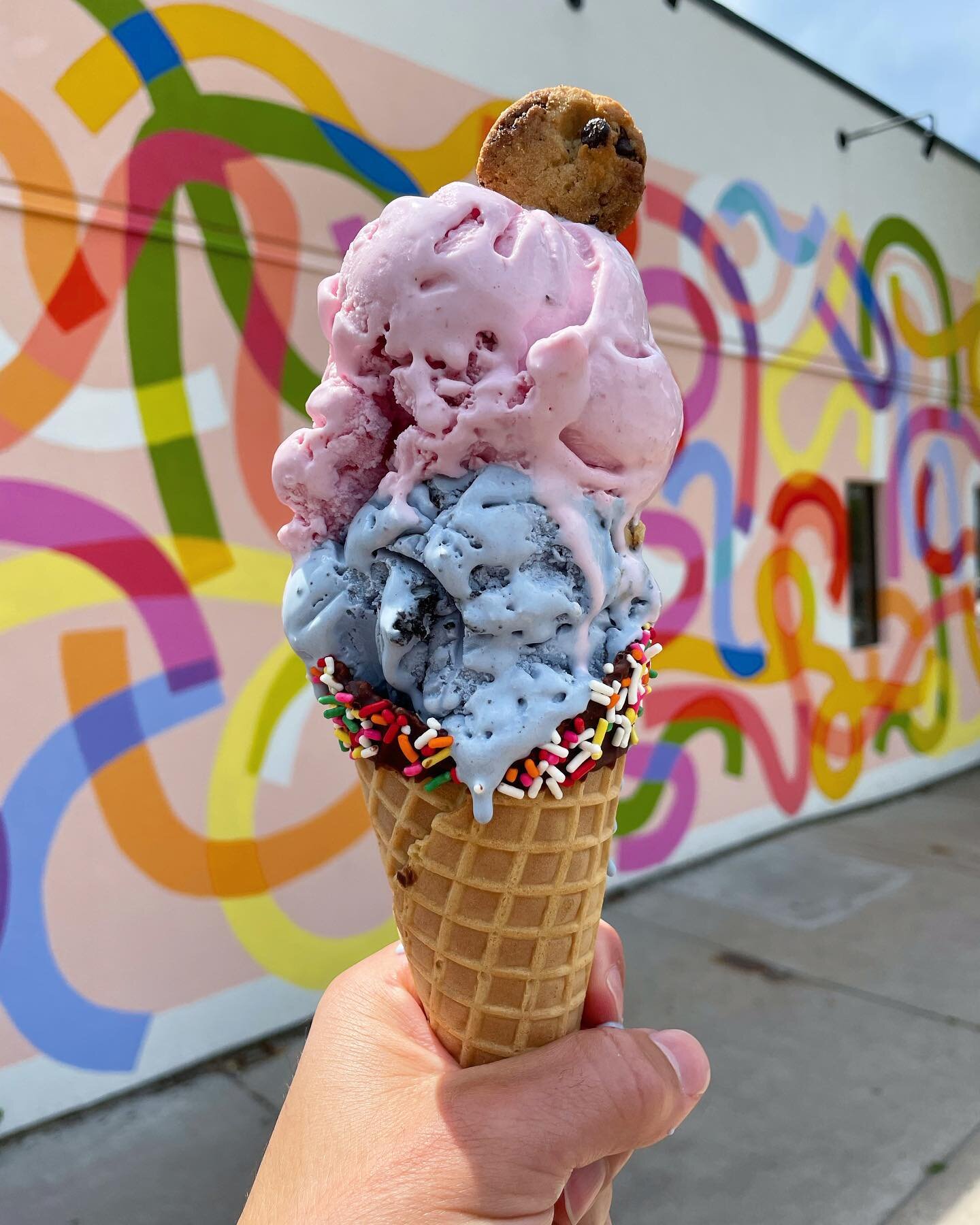 We would like to offer our submission for &ldquo;best day of the year&rdquo;. Happy National Ice Cream Day all you ice cream lovers out there! #nationalicecreamday #nelliesicecream