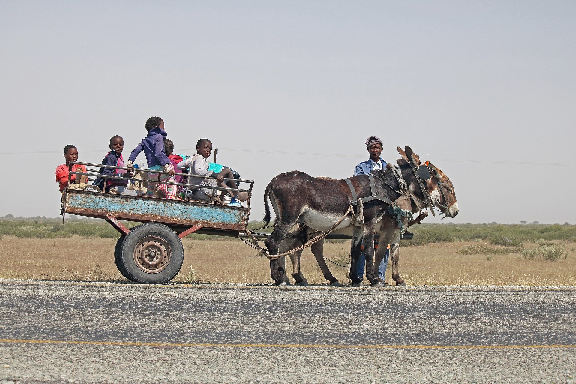 donkey-cart-3761188_1920.jpg