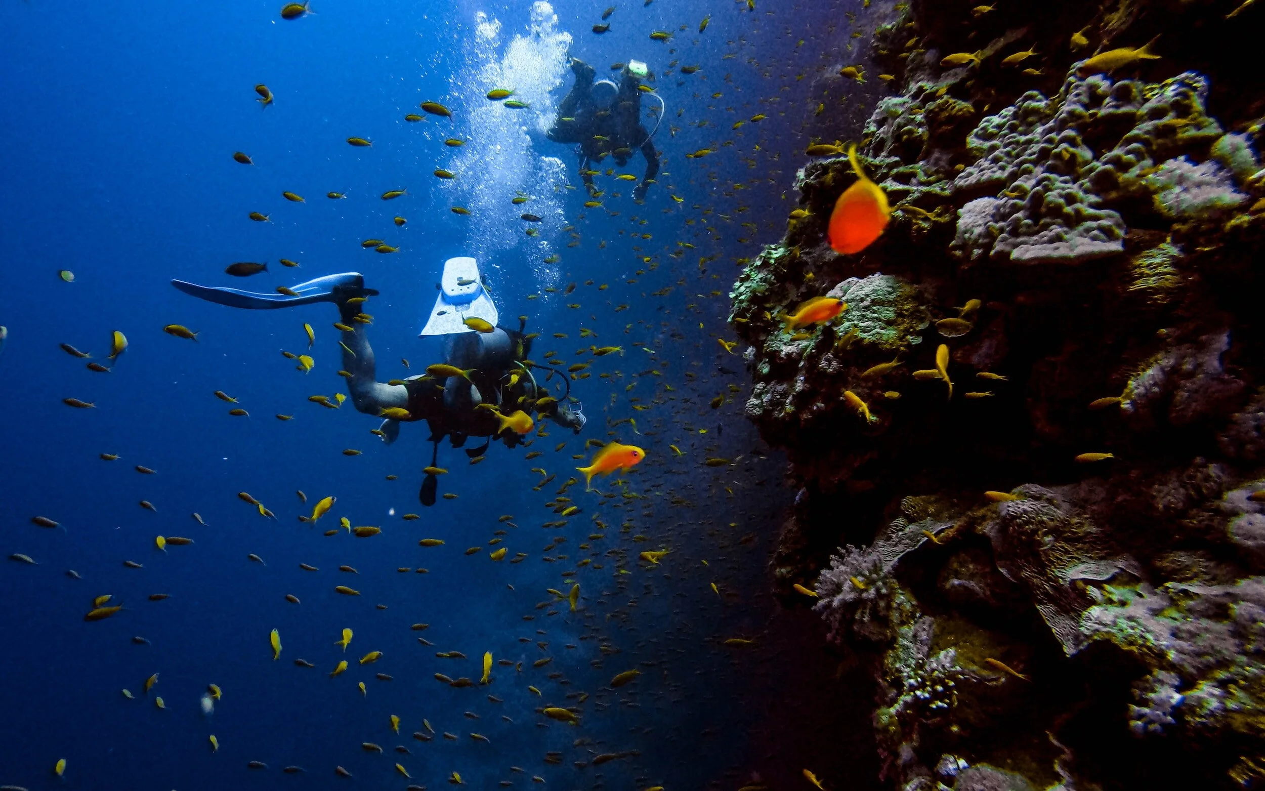 Niche LGBTQ+ Dive & Motorcycle Group Tours - AI generated hero