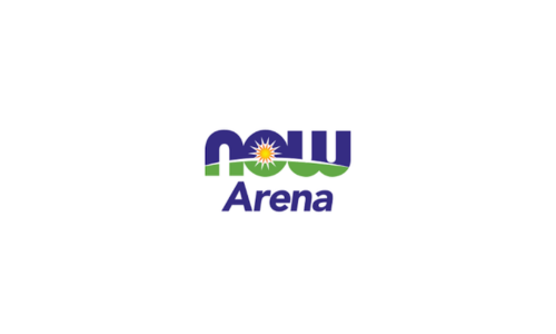 OCT 15 DEADLINE - Website Redesign &amp; Hosting for NOW Arena