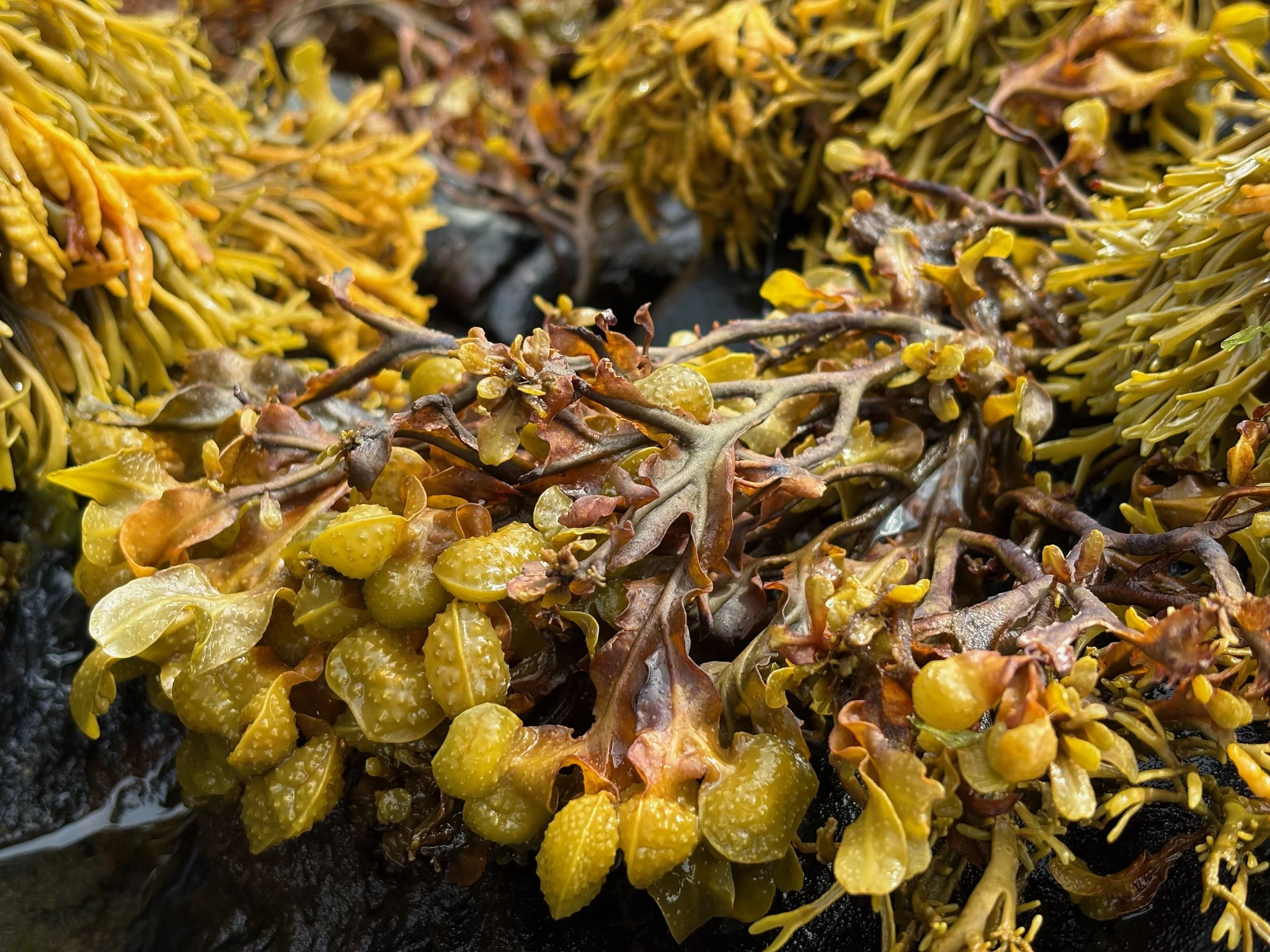 Writing &amp; Prepping