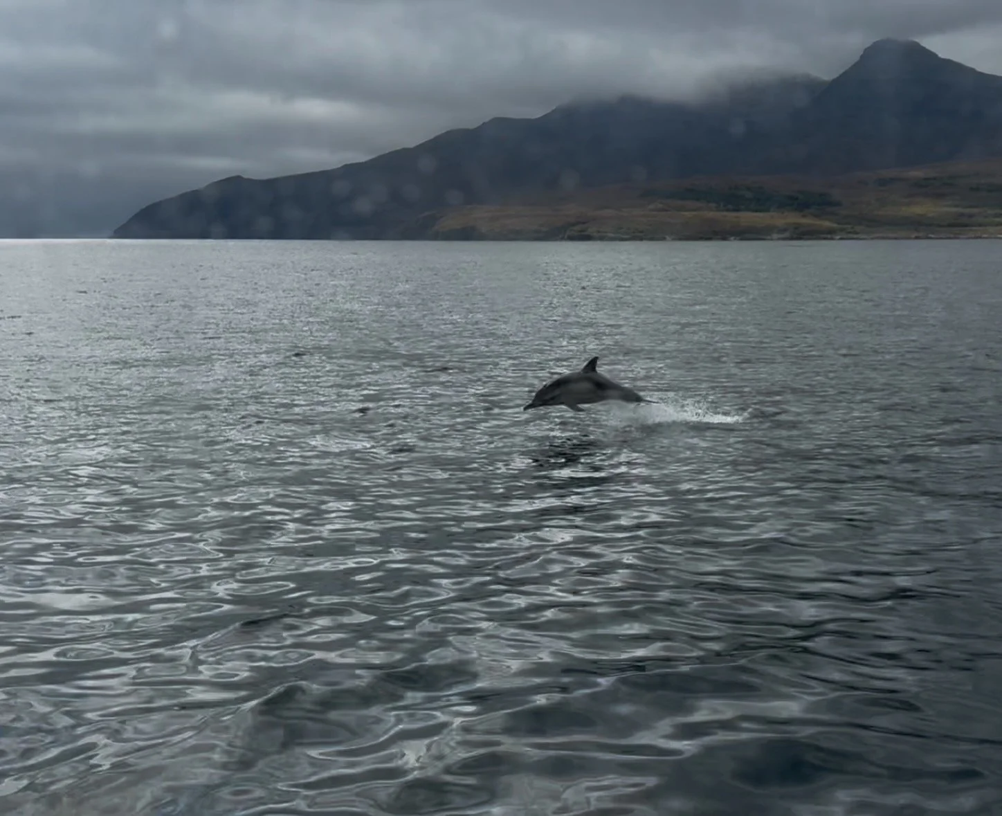 Back to the Mainland