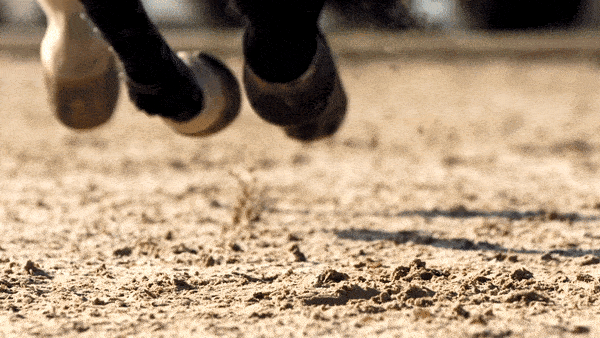 ezgif.com-gif-maker (2).gif