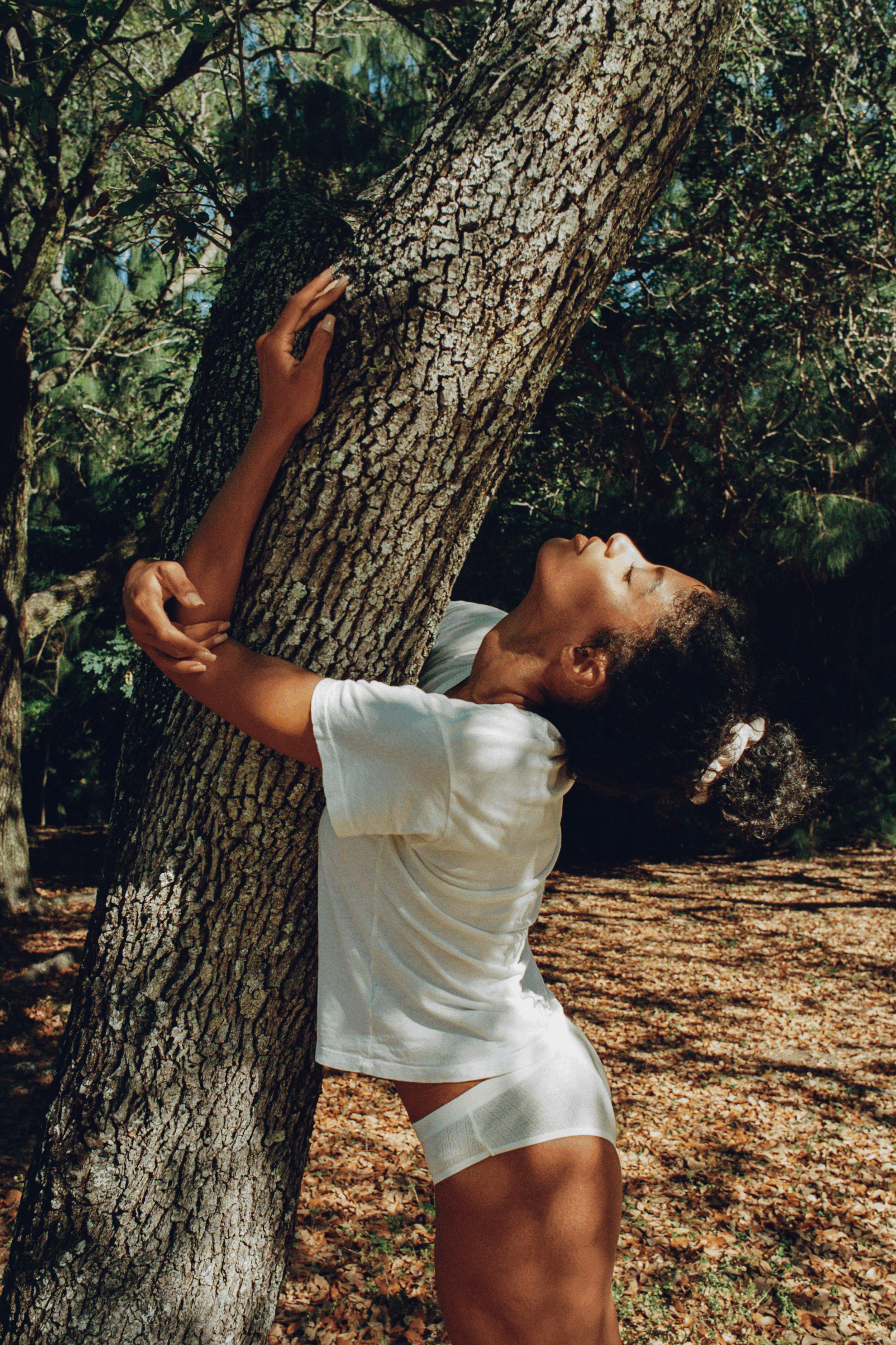 Tree Hugger