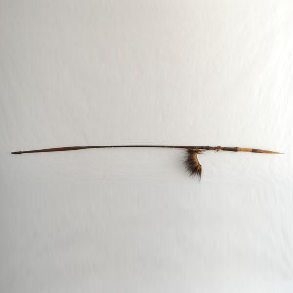 coastal_sepik_new_guinea_spear_1_squared.png
