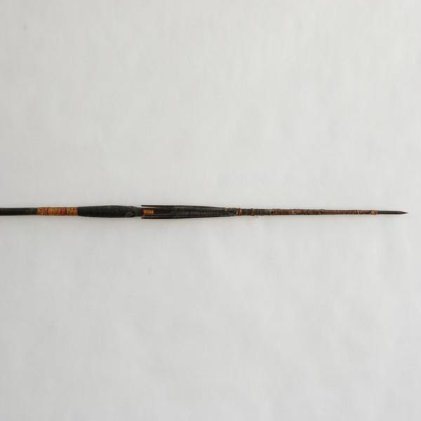 solomon_islands_barbed_spear_2B_1_squared.png