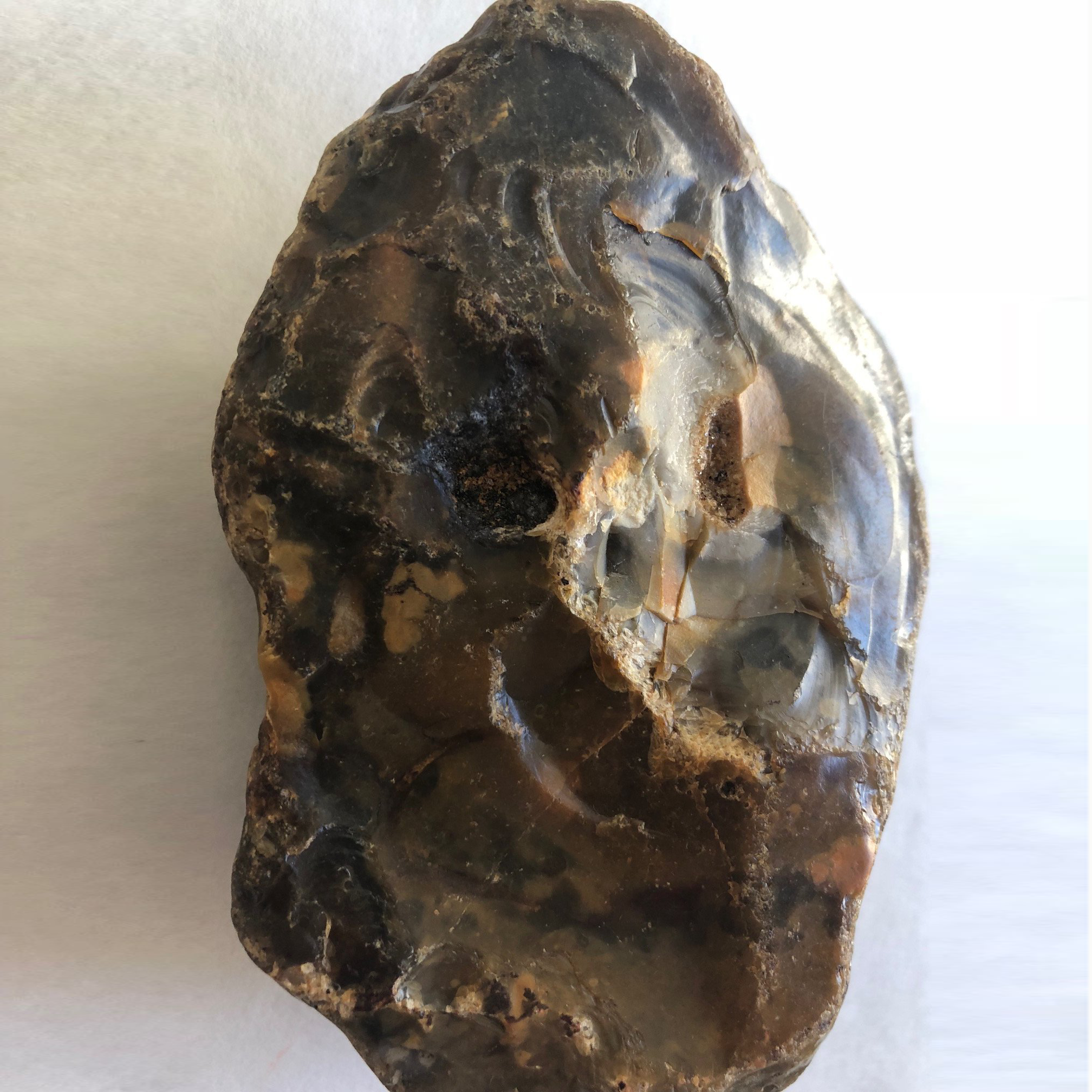 Lower_Paleolithic_Handaxe_5_squared.png