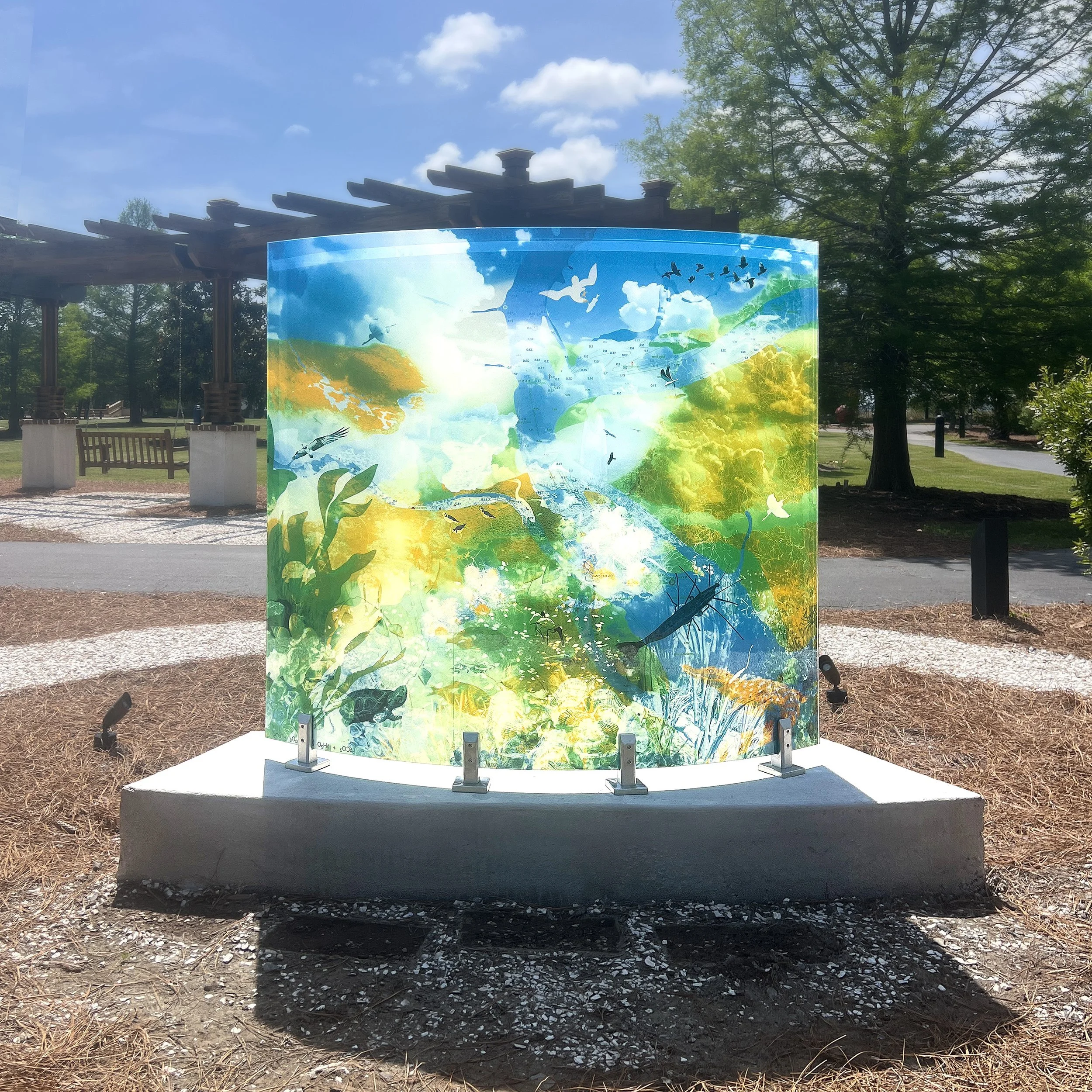 MARSH, photographic composite embedded in curved glass, 60 x 72 x 12 in, 2025. Ghost crabs, fiddler crabs, oysters, periwinkles, ibis, herons, and spartina grass,
all suspended in layered, tidal compositions. A glowing tribute to one of the most prod