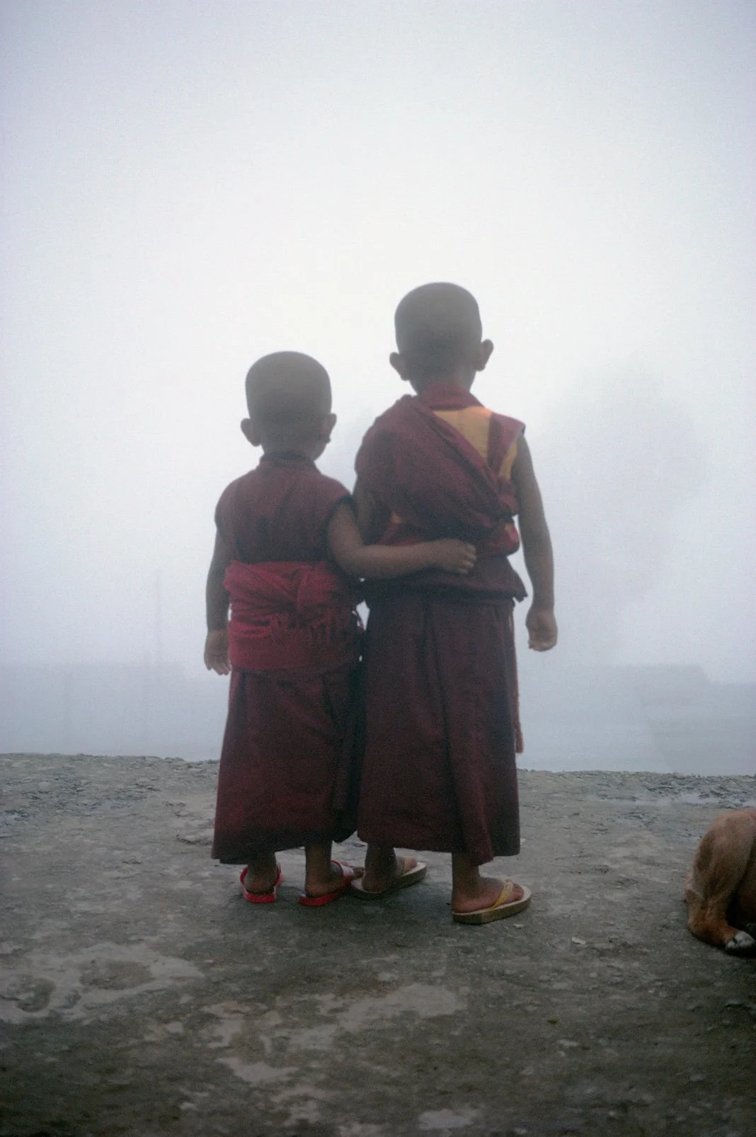 VISIONS OF BUDDHIST LIFE ／DON FARBER 英語 VISIONS OF BUDDHIST LIFE ／DON FARBER 英語