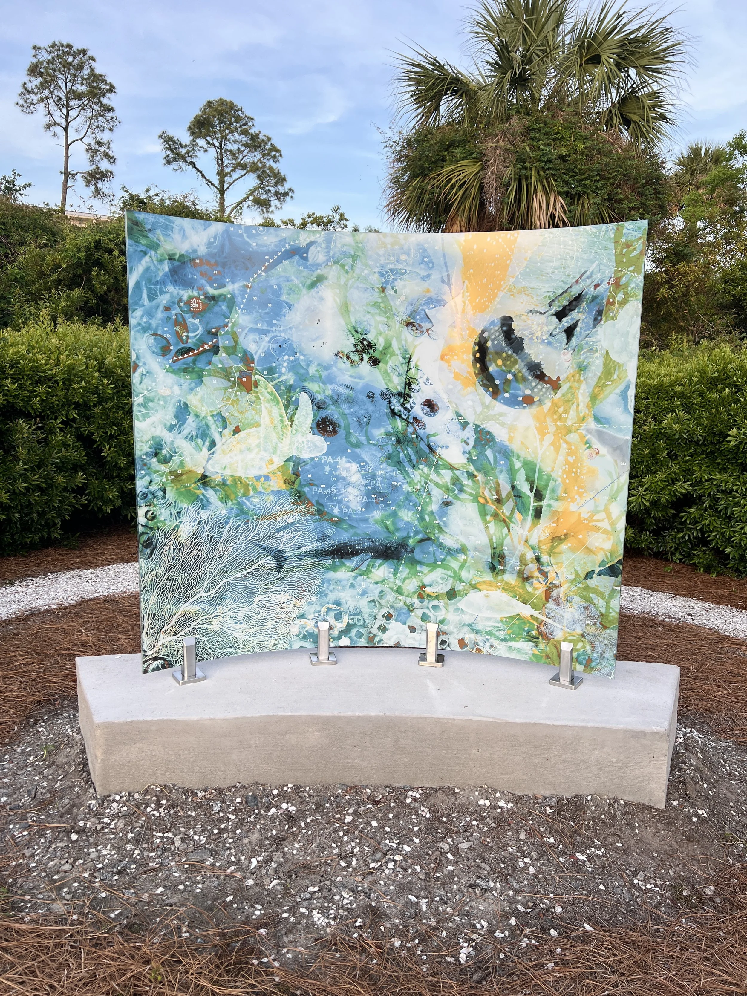 OCEAN, photographic composite embedded in curved glass, 60 x 72 x 12 in, 2025. The work draws from nautical charts and bathymetric maps, showcasing creatures both iconic and overlooked: loggerhead turtles, redfish, blue crabs, sea lettuce, diatoms, j