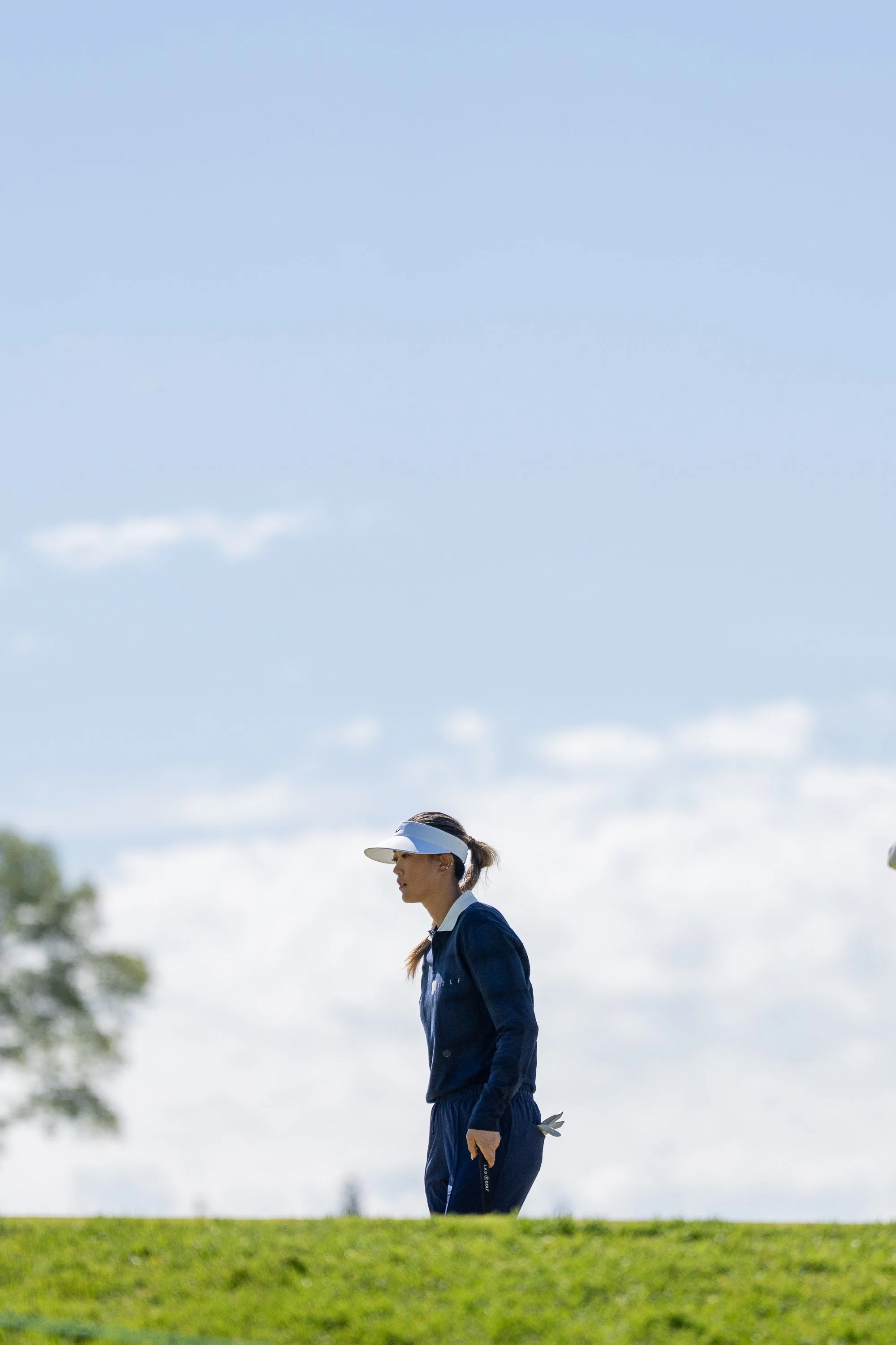 lpga_mizuho-tonyhopkins_-53.jpg