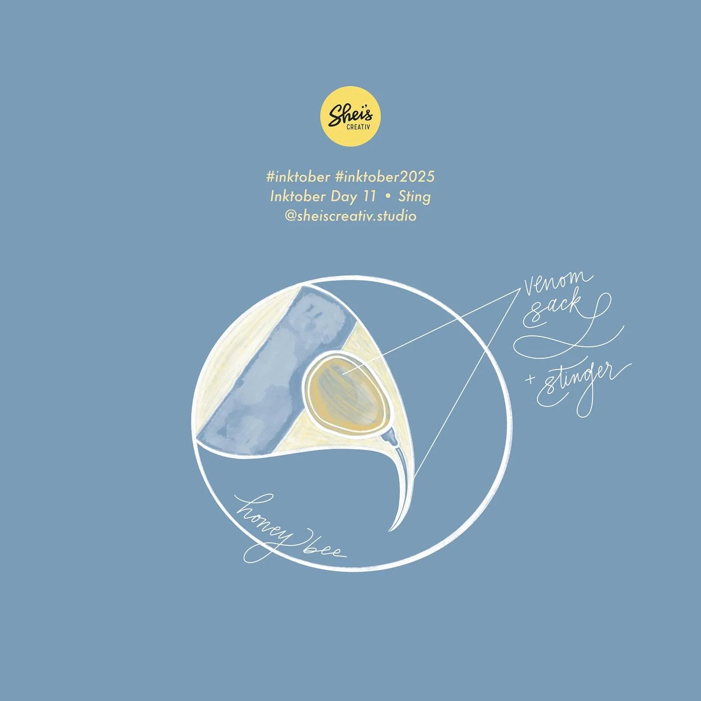 Day 11: Sting 🐝 Not fun - especially in your toe (accidentally stepped on a bee in the grass on the way to the beach with flip flops on) 😅🥲😢

#inktober #inktober2025 #inktober2025sting #beesting #beestinger #ouch #ouchie #ouchies #sheiscreativ #s
