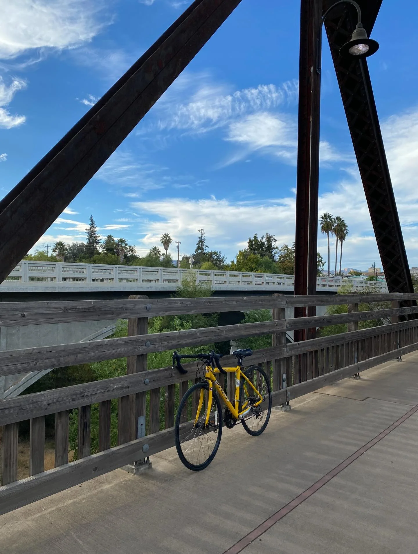 Happy Sunday 🚲💛🚲

#cycling #bikers #bikerslifestyle #letsridebikes #biketowork