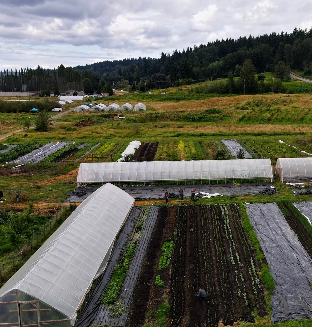 Sammamish Farms