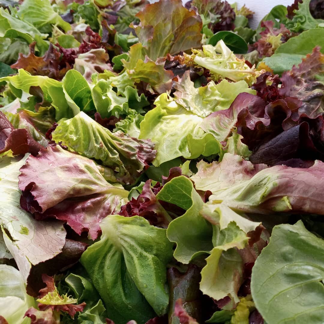 Perfecting the salad