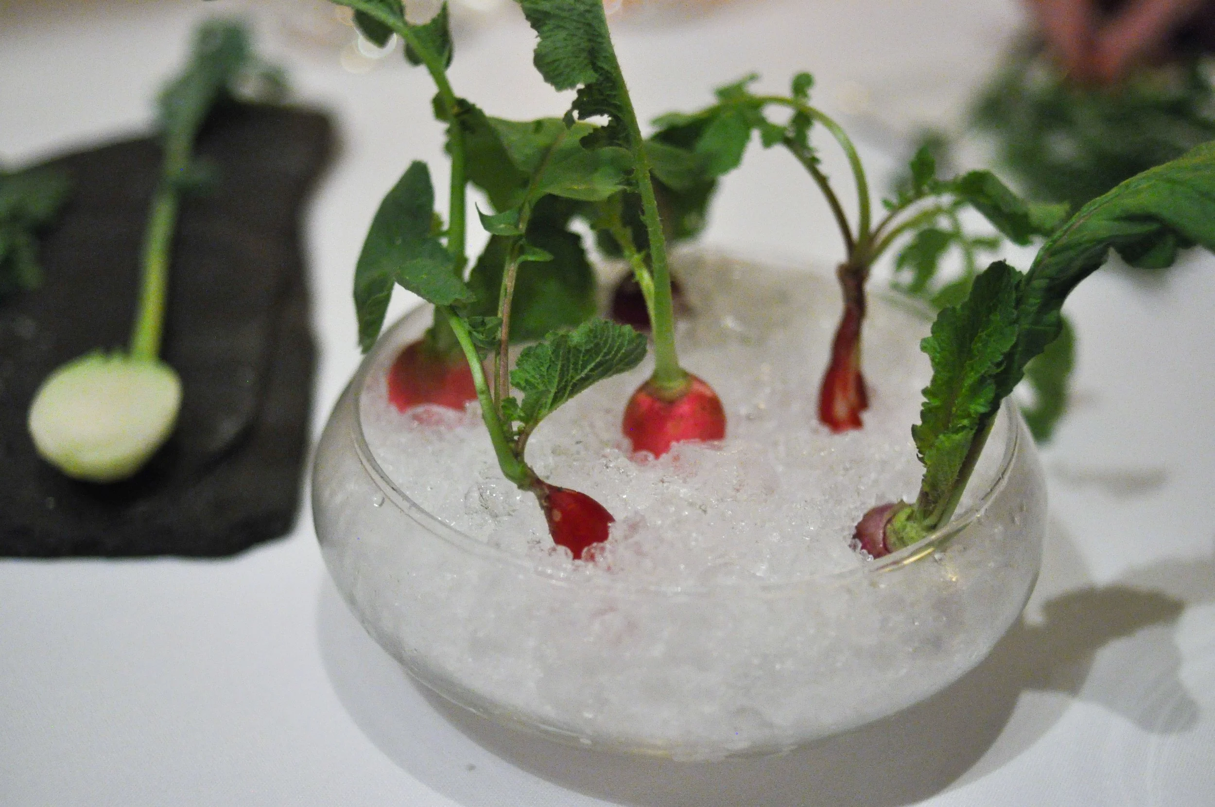Radish and daikon