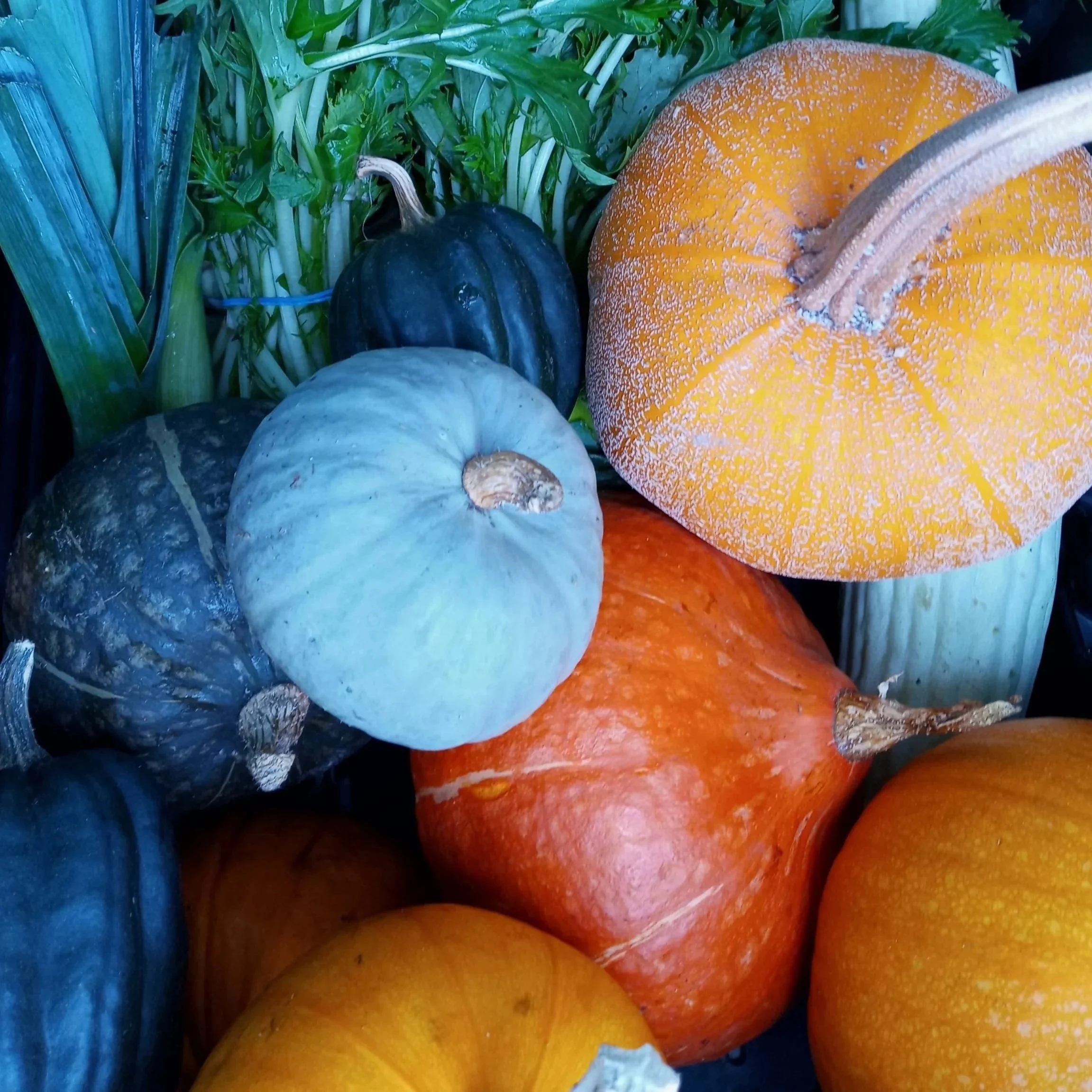20201003_104654.jpg