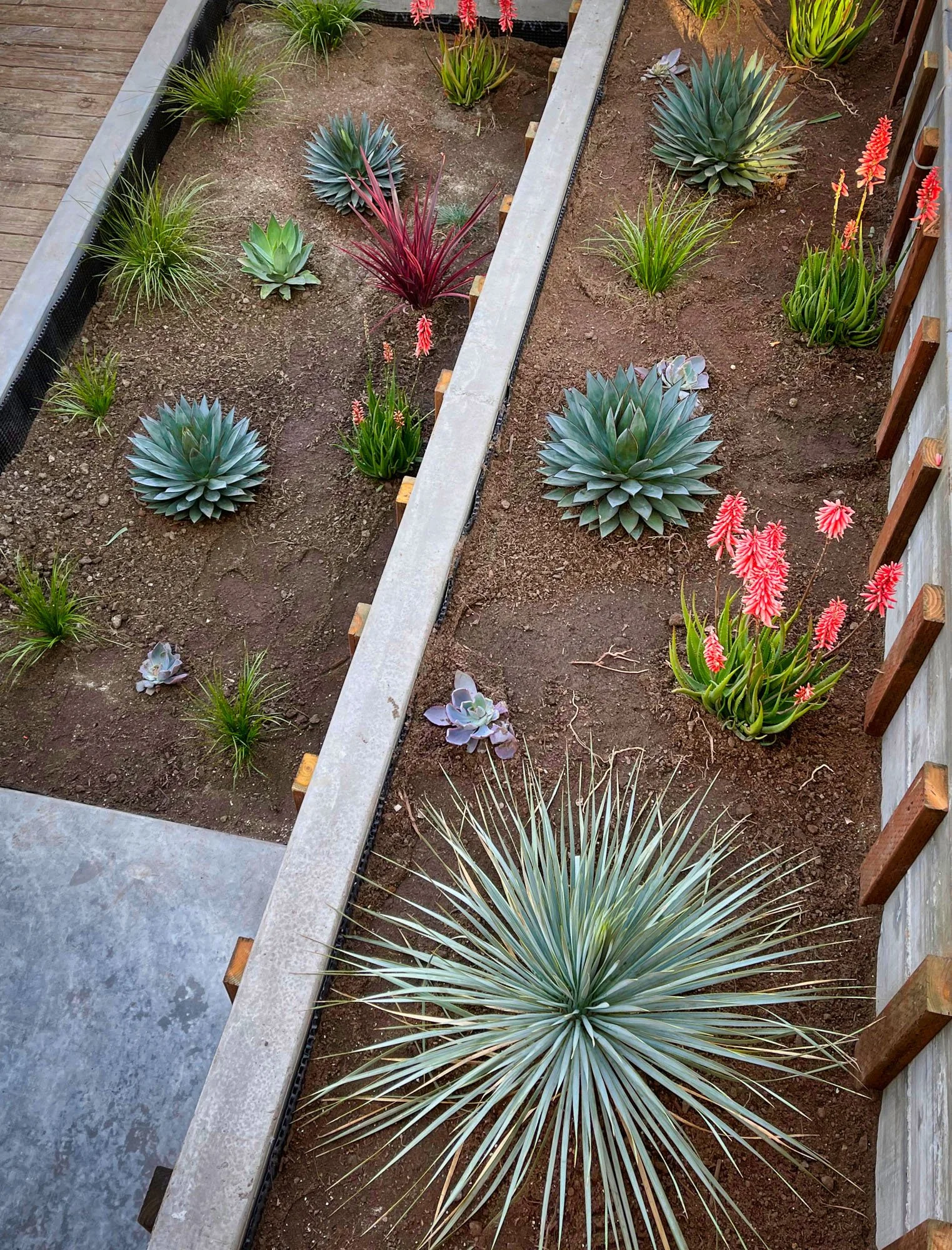 Concrete & Wood-02.jpeg