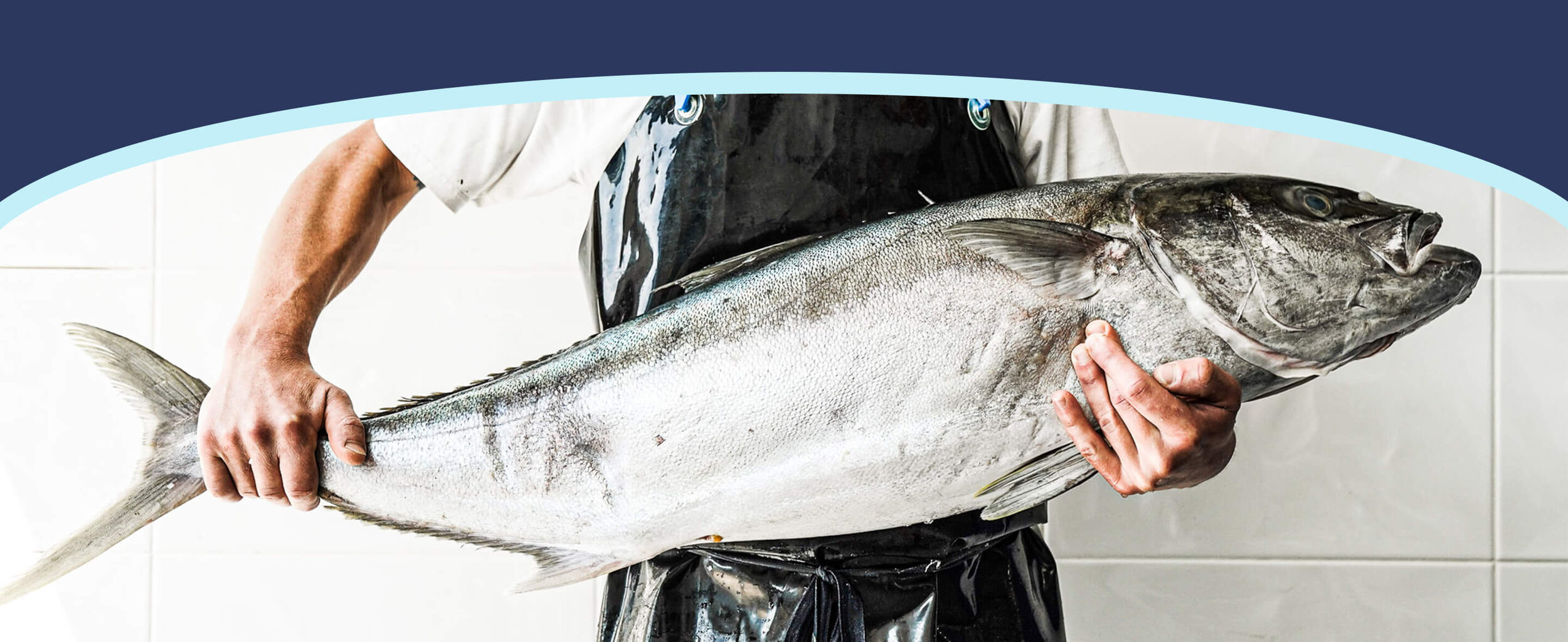 Bubs-homepage-banner copy.jpg