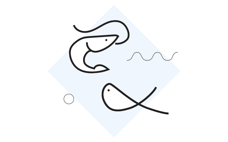 Seafood market in Nelson’s Bay