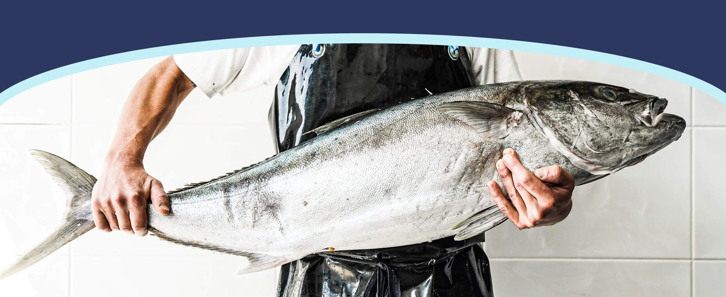 Bubs-homepage-banner copy.jpg