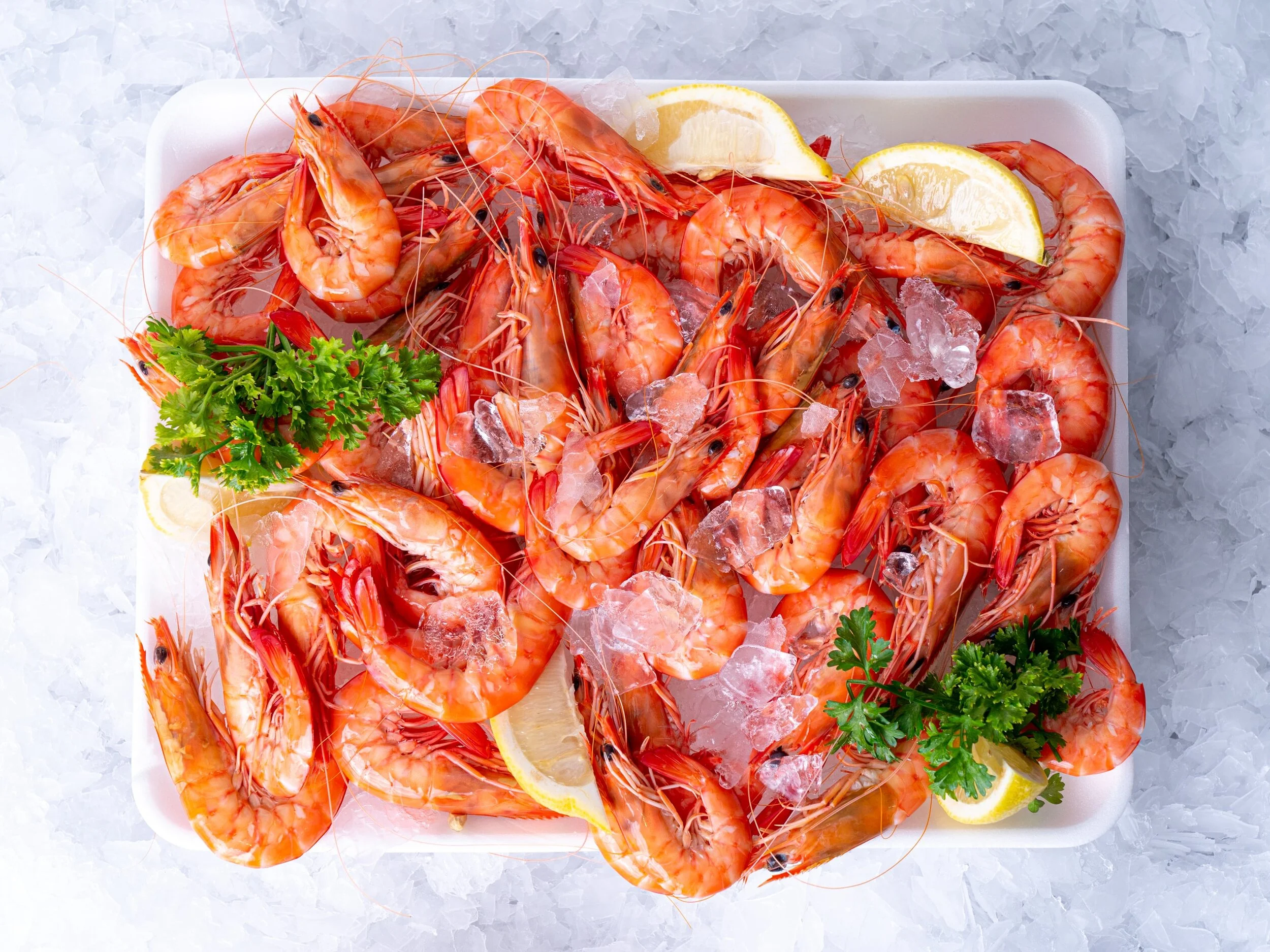 KING PRAWNS