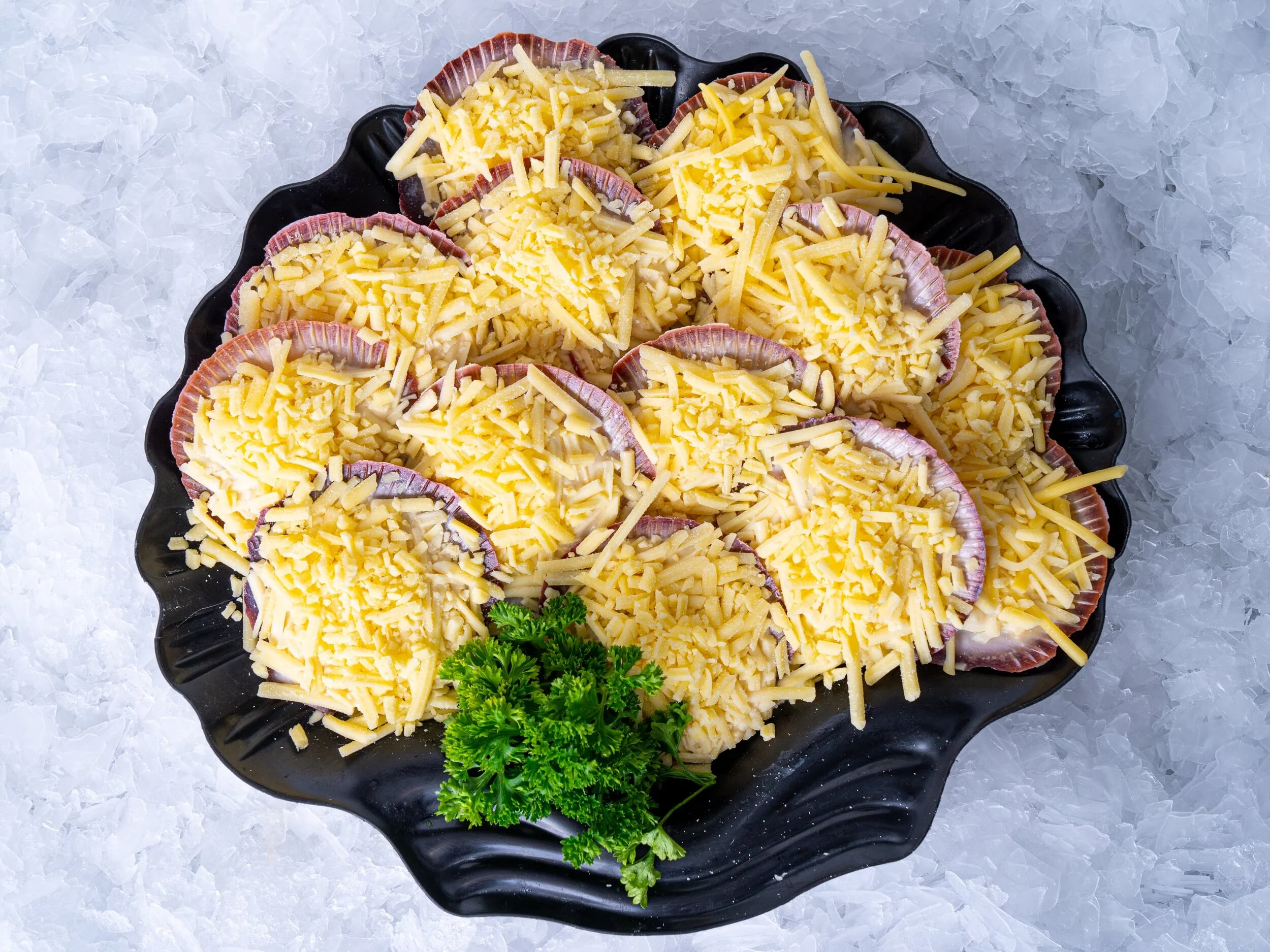 MORNAY HALF SHELL SCALLOPS