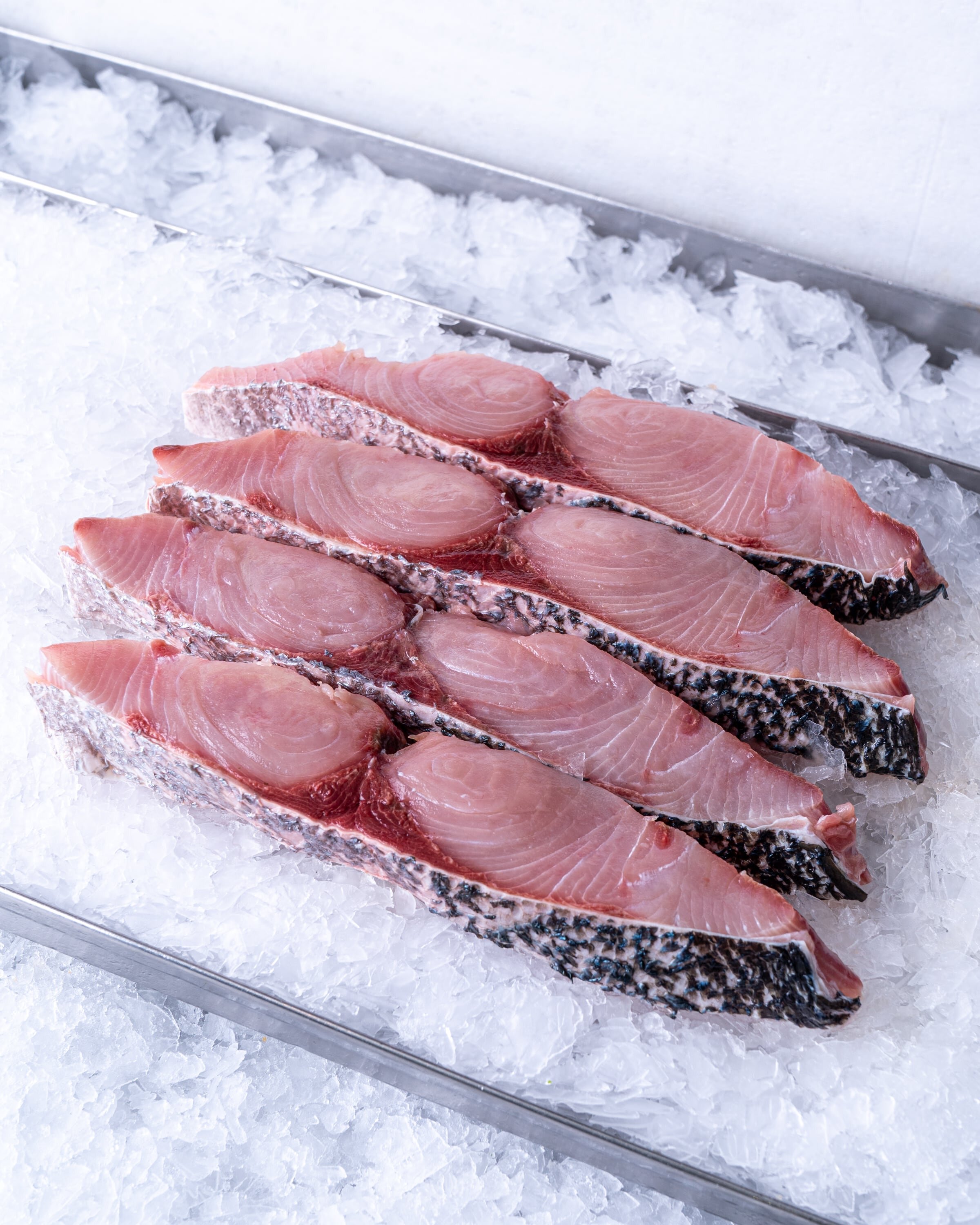 KINGFISH FILLETS