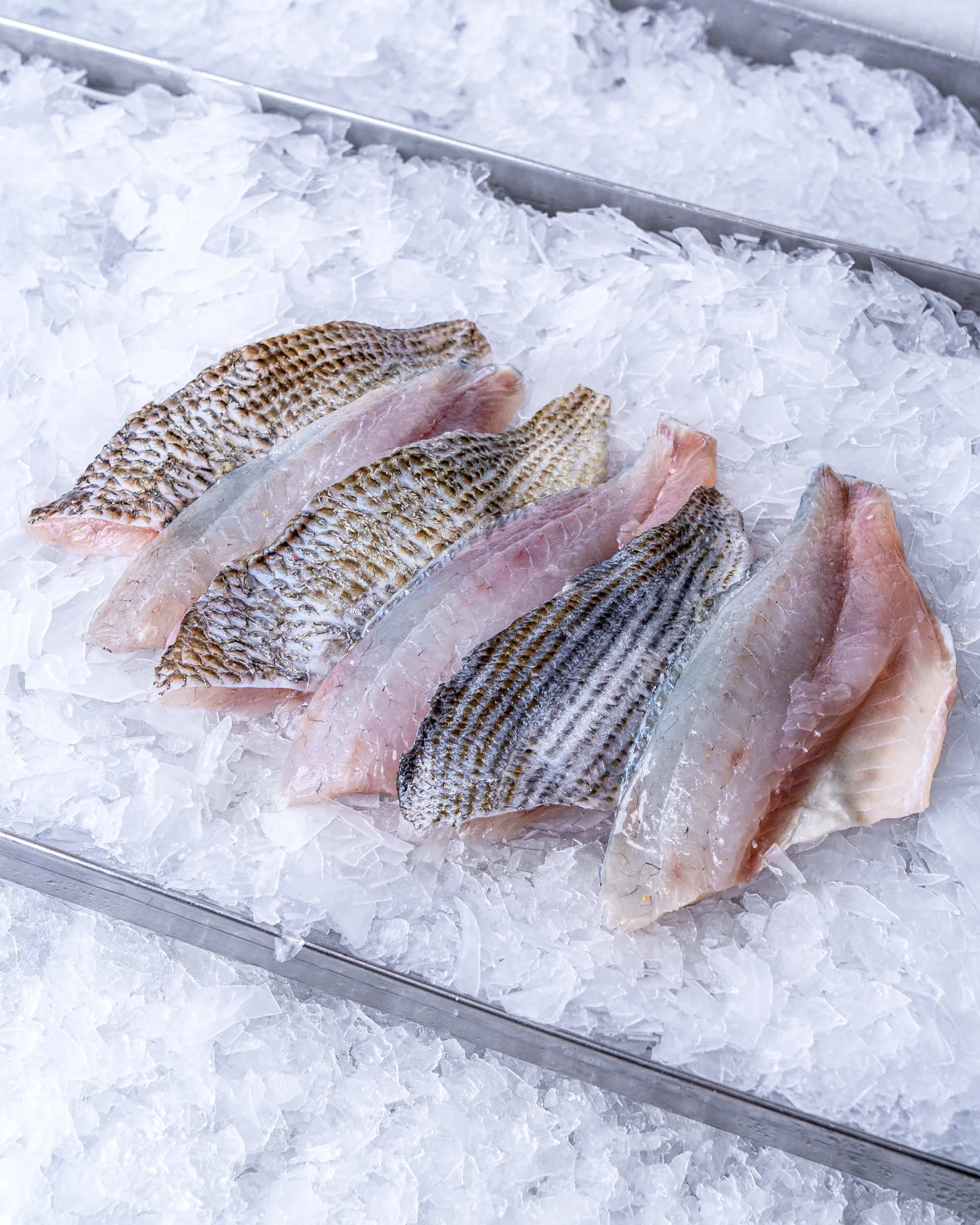 SILVER BREAM FILLETS